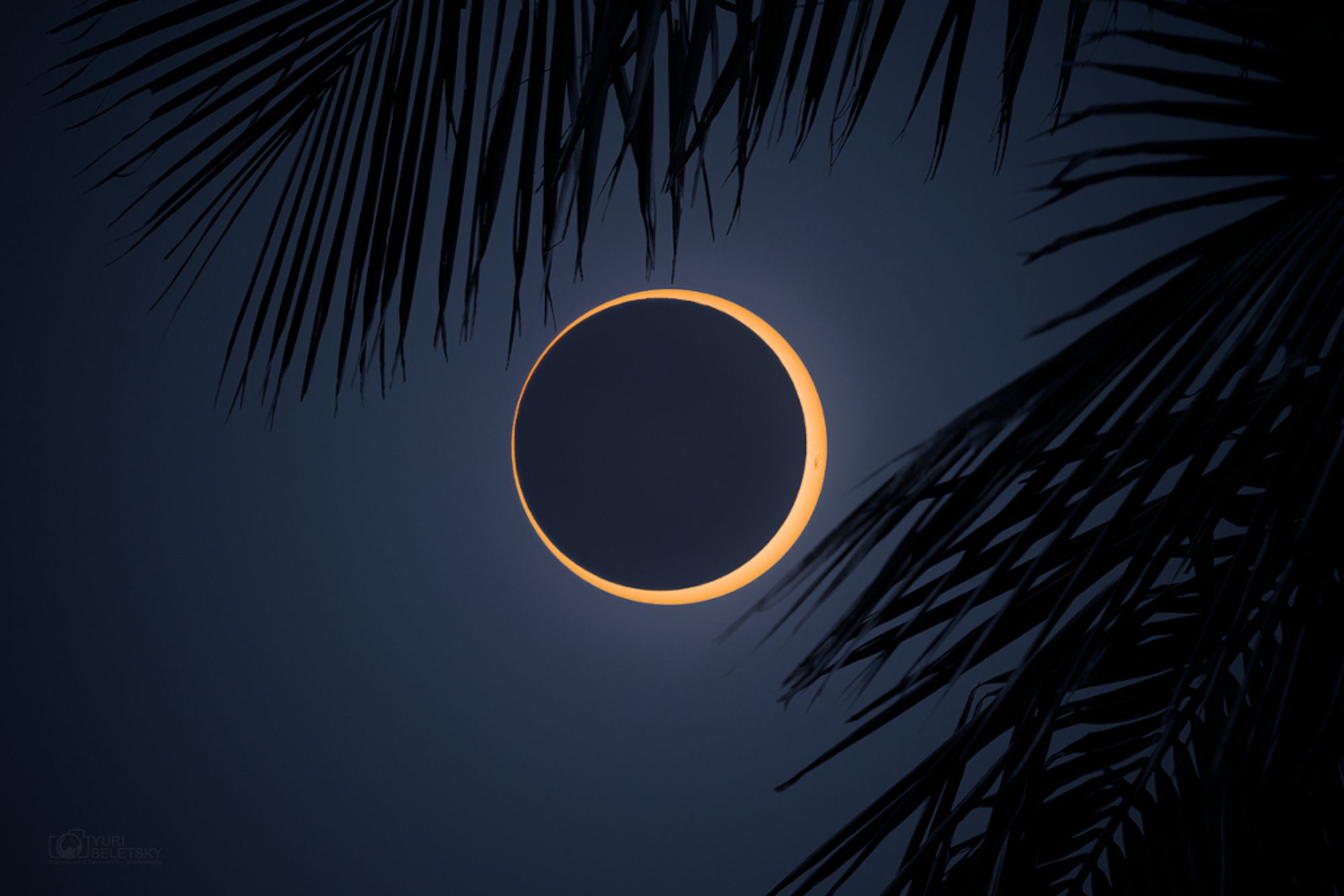 The second solar eclipse of 2024 began in the Pacific. On October 2nd the Moon's shadow swept from west to east, with an annular eclipse visible along a narrow antumbral shadow path tracking mostly over ocean, making its only major landfall near the southern tip of South America, and then ending in the southern Atlantic. The dramatic total annular eclipse phase is known to some as a ring of fire. Also tracking across islands in the southern Pacific, the Moon's antumbral shadow grazed Easter Island allowing denizens to follow all phases of the annular eclipse. Framed by palm tree leaves this clear island view is a stack of two images, one taken with and one taken without a solar filter near the moment of the maximum annular phase. The New Moon's silhouette appears just off center, though still engulfed by the bright disk of the active Sun.