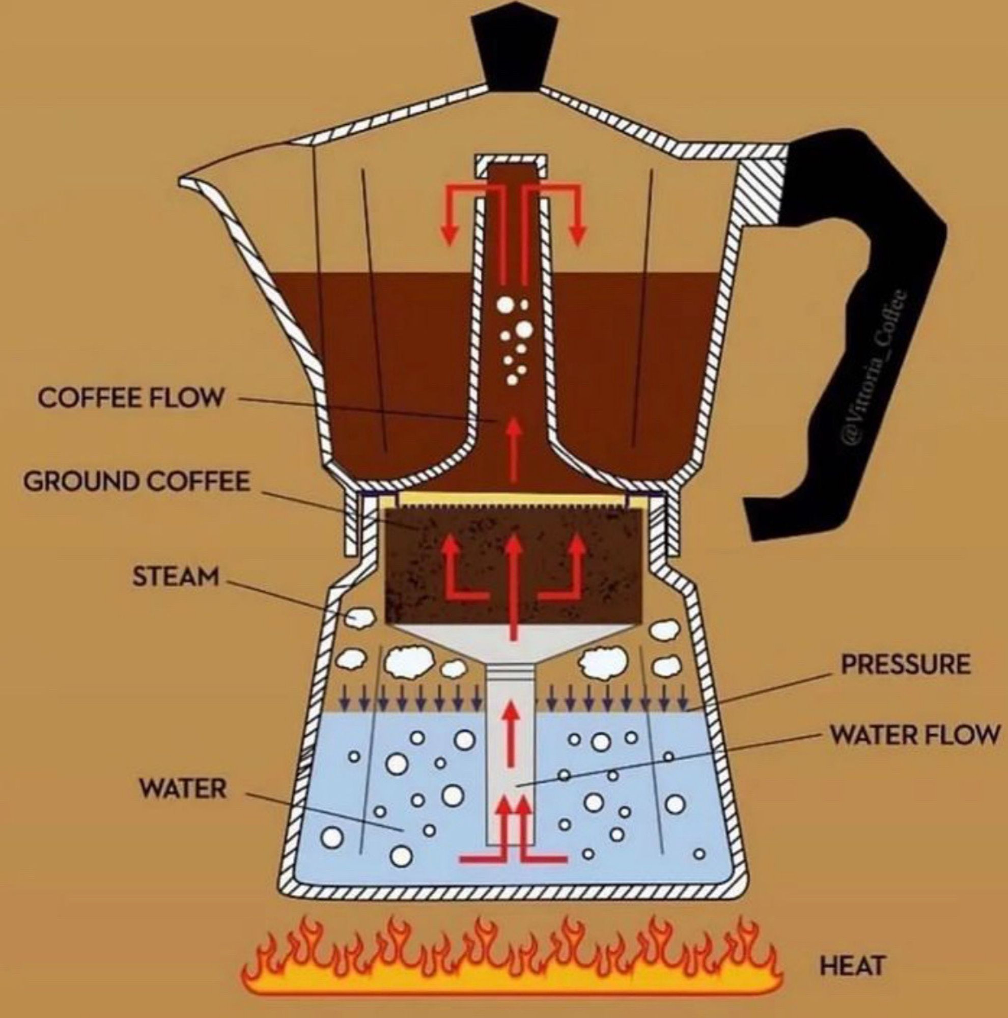 Schéma en coupe d'une cafetière italienne