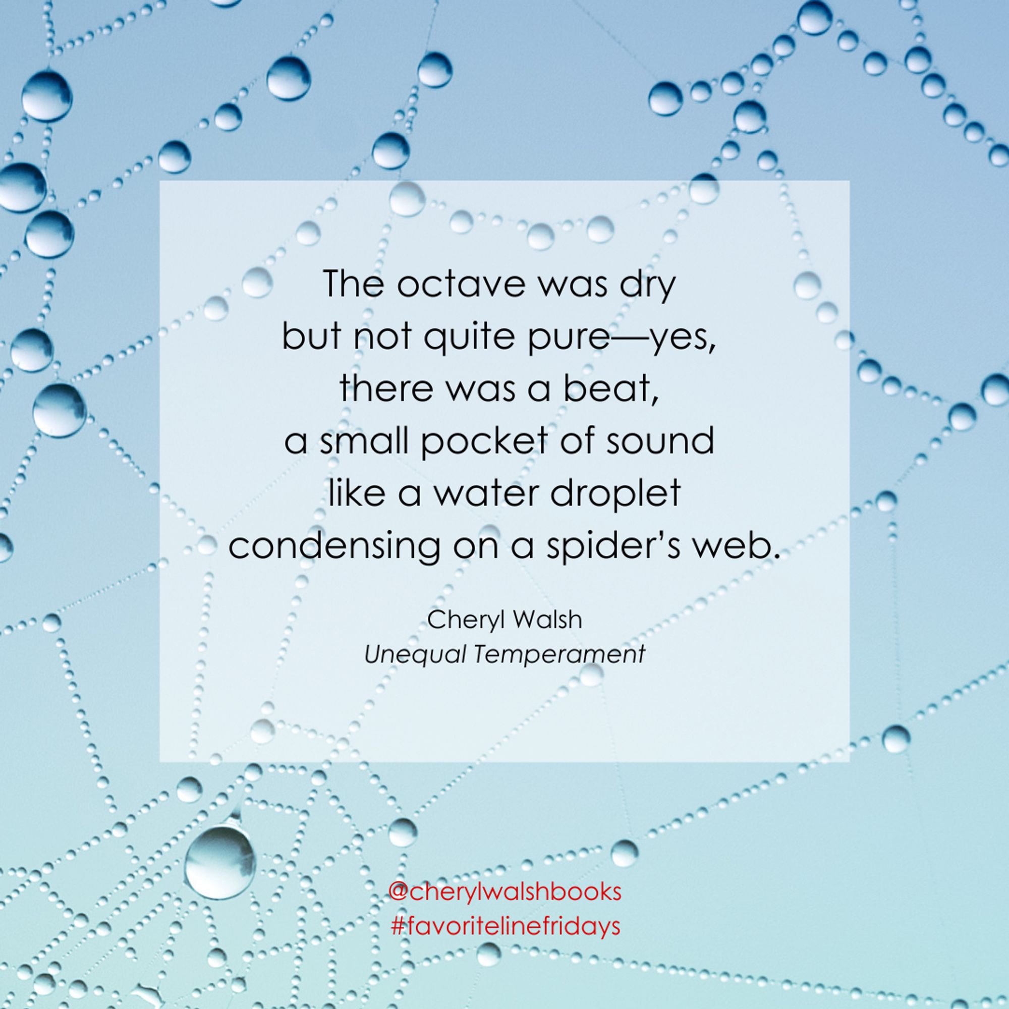 Light blue background with water droplets on a spiderweb. Text: The octave was dry but not quite pure--yes, there was a beat, a small pocket of sound like a water droplet condensing on a spider's web. Cheryl Walsh, Unequal Temperament.