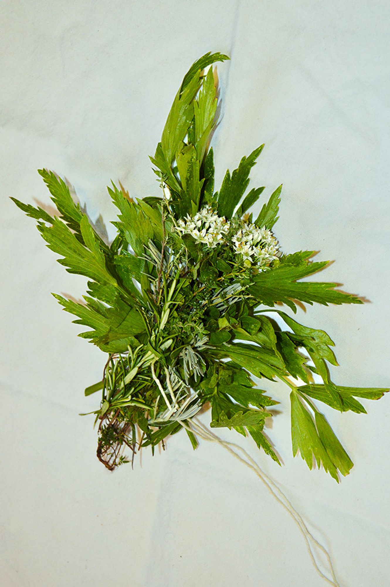 Bouquet of backyard herbs resting on a white tea towel.