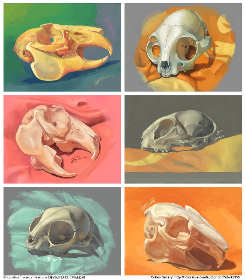 A collage of 6 skull paintings 