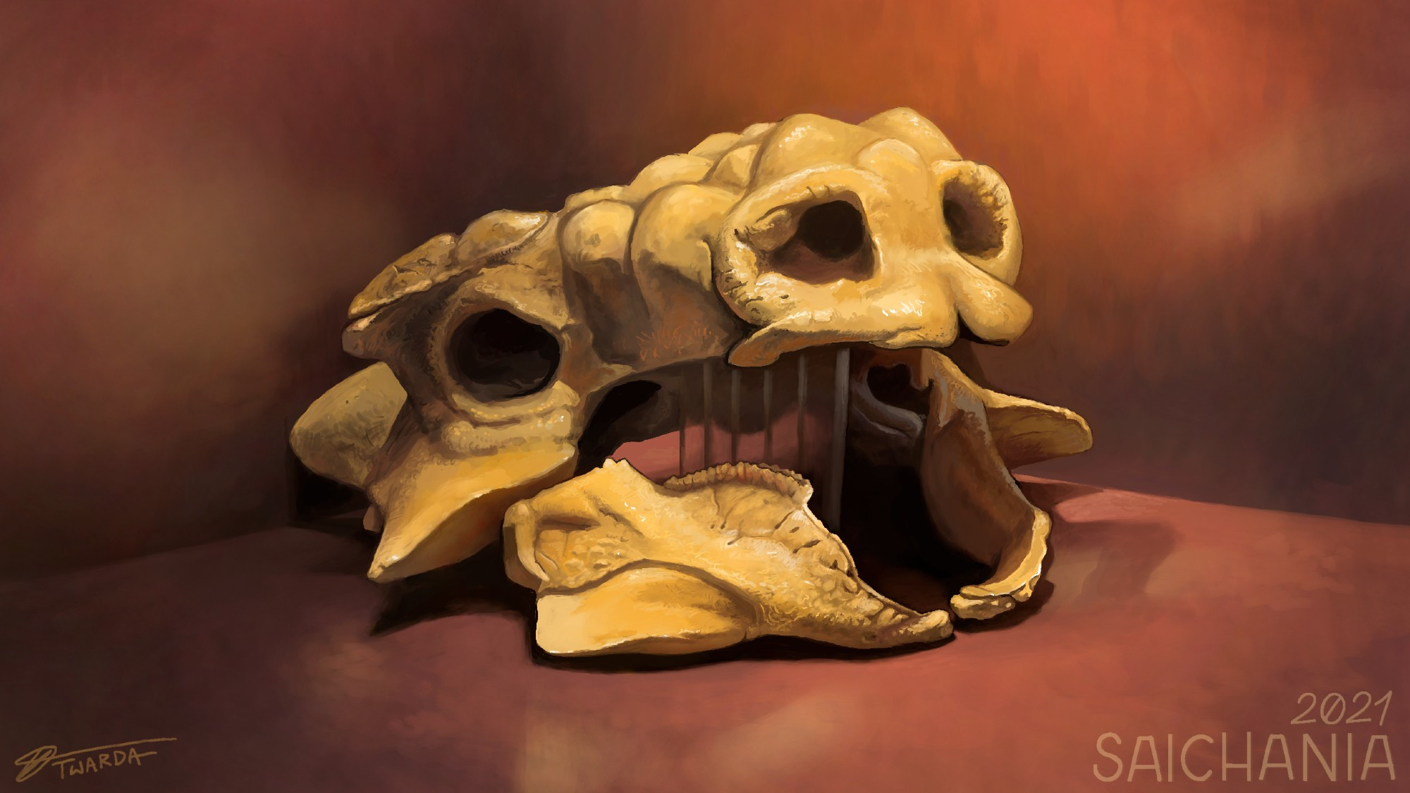 A life study of a Saichania skull, painted on a Switch