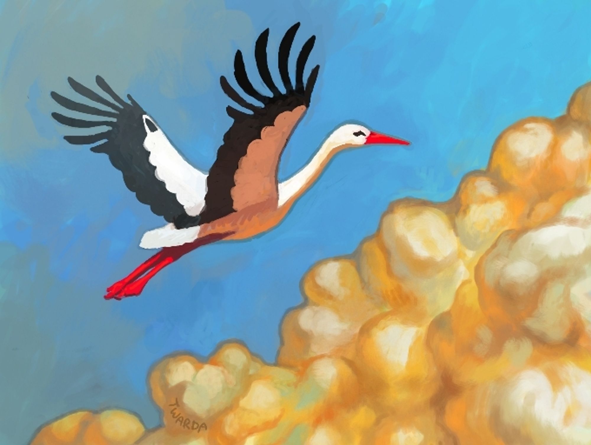 A stork flies next to the warm clouds