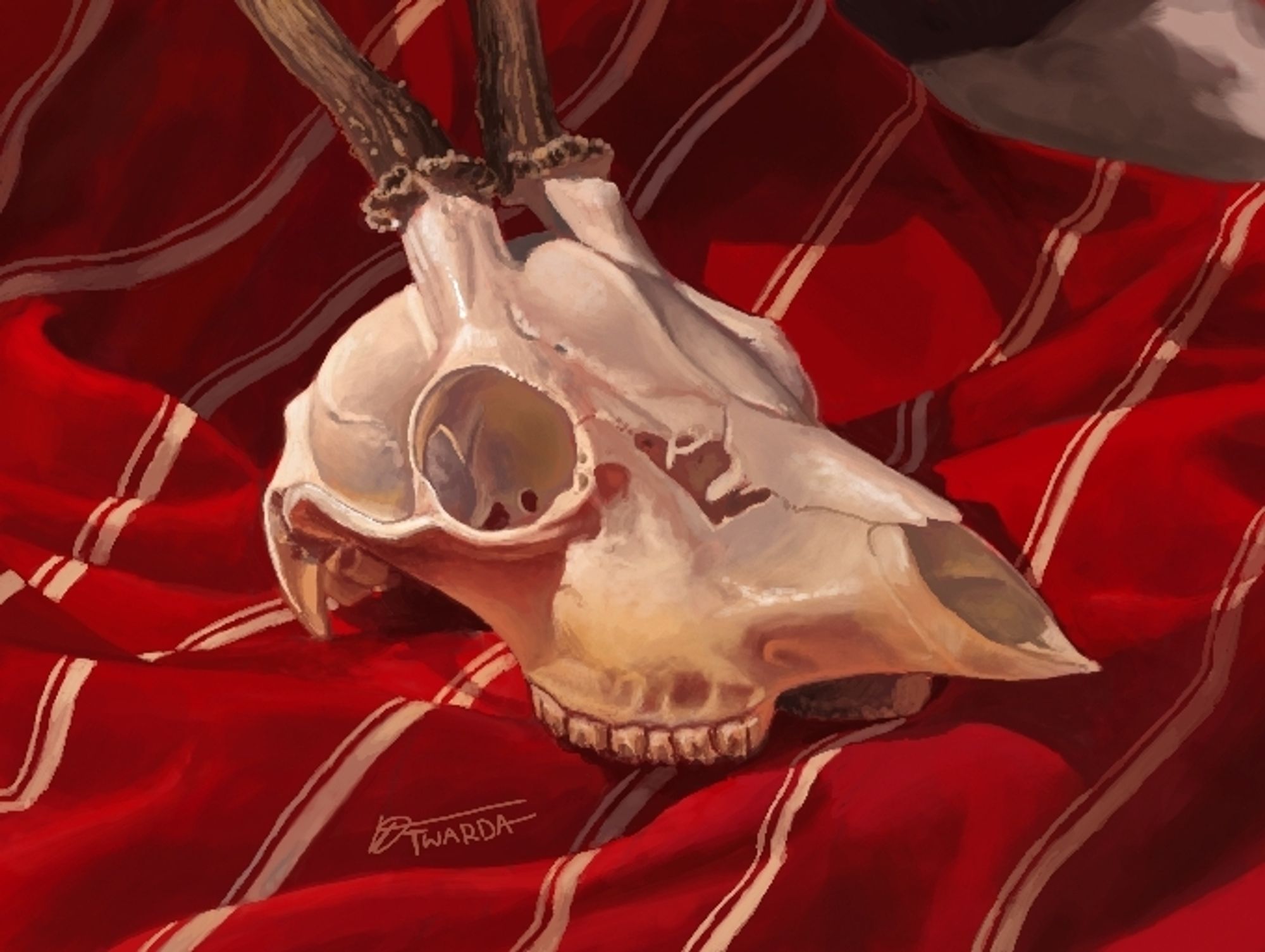 Still life painting of a roe deer skull