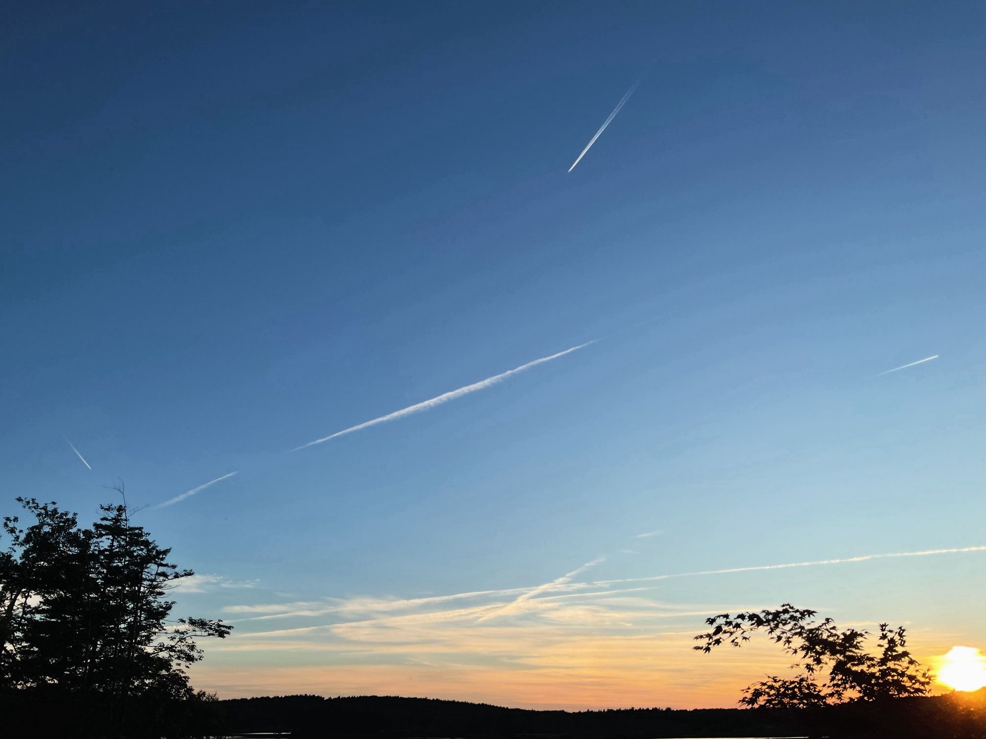 A clear blue sky with numerous jet contrails crossing.