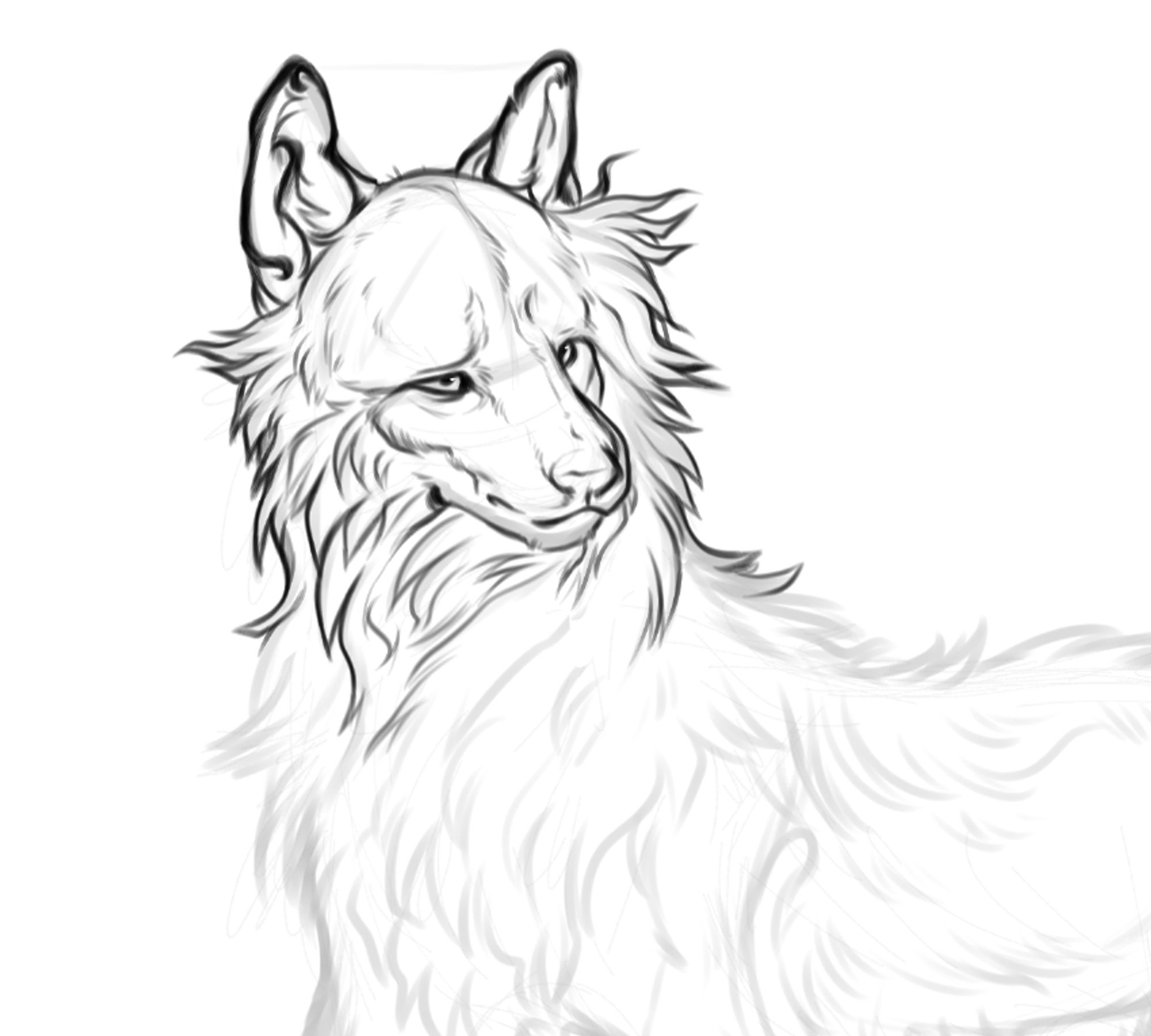 A screenshot sketch of a wolf character for an DARPG