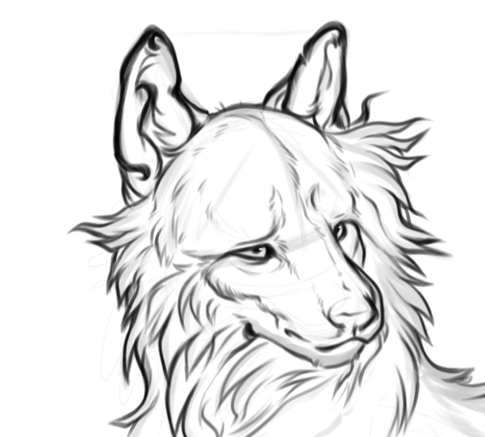 A screenshot close up sketch of a wolf character for an DARPG