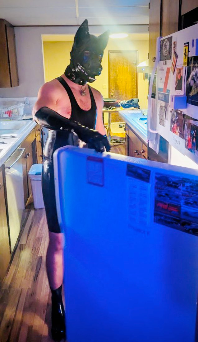 person in rubber dog gear standing in a kitchen, opening a fridge door