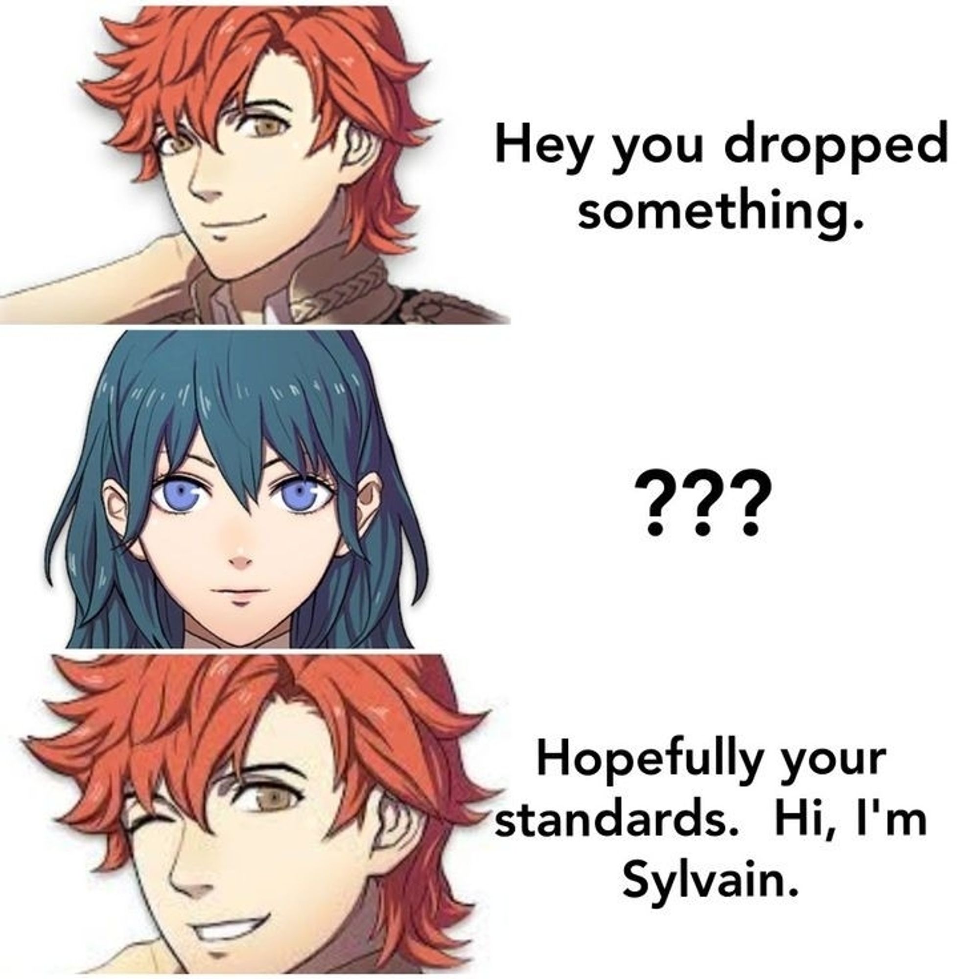 Sylvain: Hey you dropped something.
fByleth: ???
Sylvain: Hopefully your standards. Hi, I'm Sylvain.