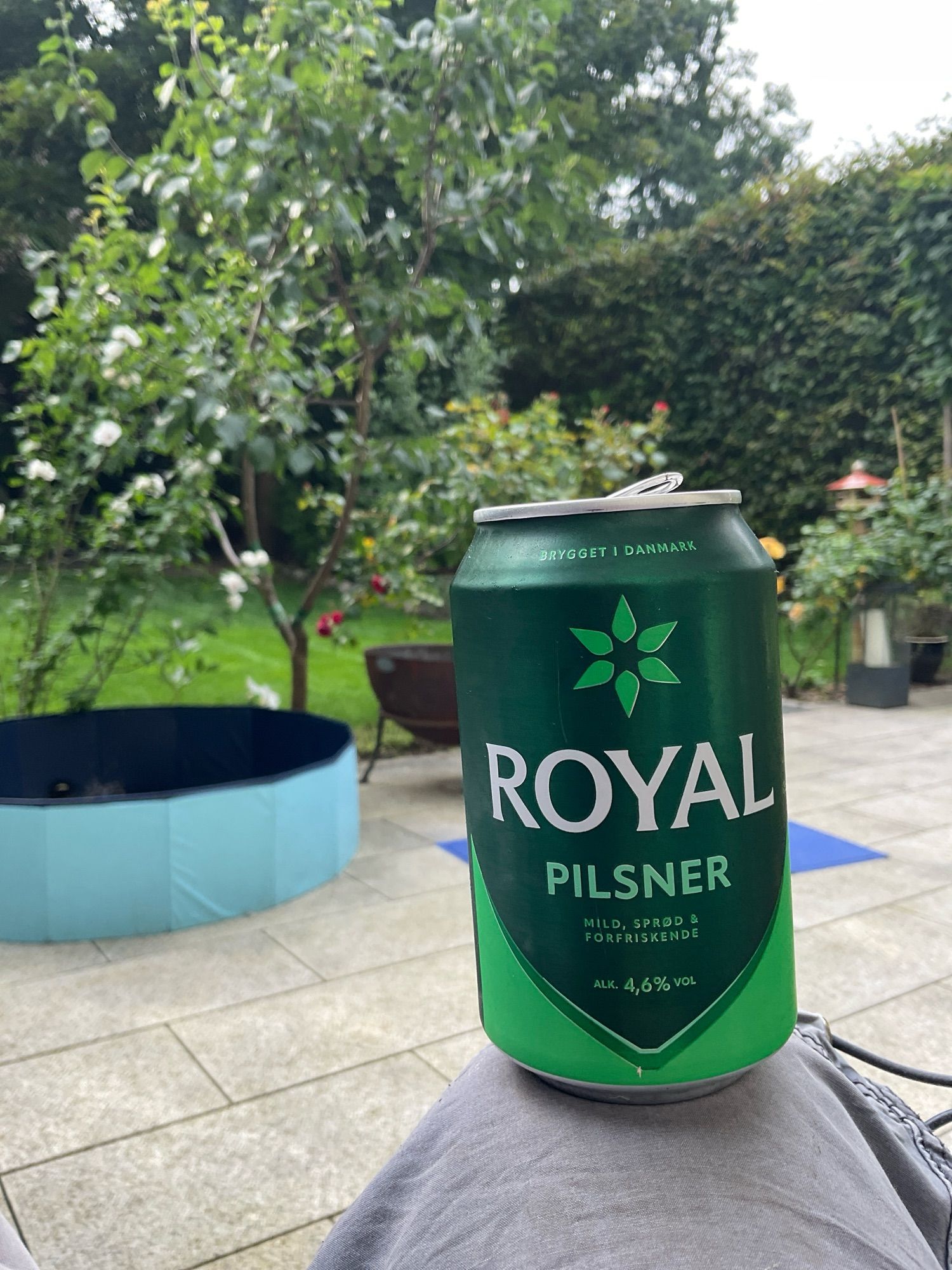 Bierdose auf Knie. Im Hintergrund Garten.