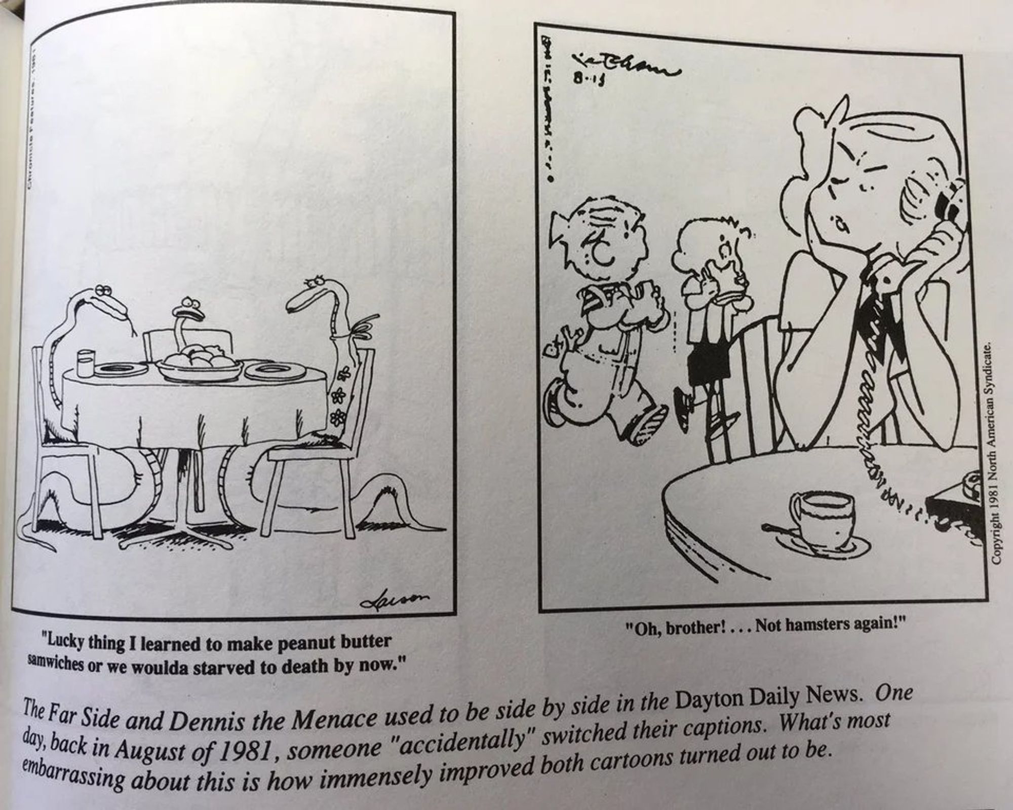 Larson: The Far Side and Dennis the Menace used to be side by side in the Dayton Daily News. One day, back in August of 1981, someone “accidentally” switched their captions. What’s most embarrassing about this is how immensely improved both cartoons turned out to be.

A Far Side comic with a family of snakes sitting around the dinner table. There is a plate of hamsters in the middle. The disgusted-looking child snake says "Lucky thing I learned to make peanut butter sandwiches or we woulda starved to death by now."

Dennis The Menace is eating sandwiches with his friend. His mom is in the fireground, eqavesdropping on them with a sour expression as she hears Dennis say "Oh brother!... Not hamsters again!" The implication is that she seems upset that they did not appreciate her hamster sandwiches. 