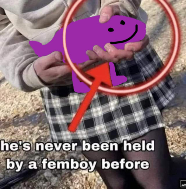 An edited picture of @femboyfishing.bsky.social holding a fish where the fish has been changed to be Fishest Gup

The caption says "he's never been held by a femboy before"