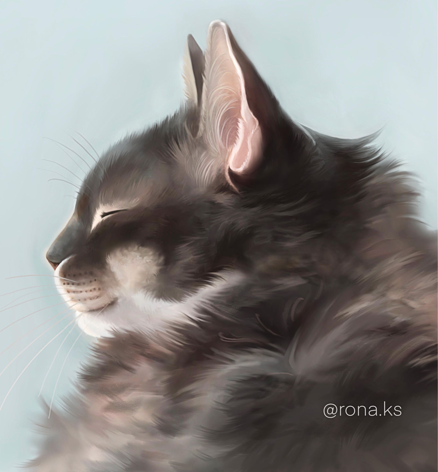 Digital painting of a grey, fluffy cat!