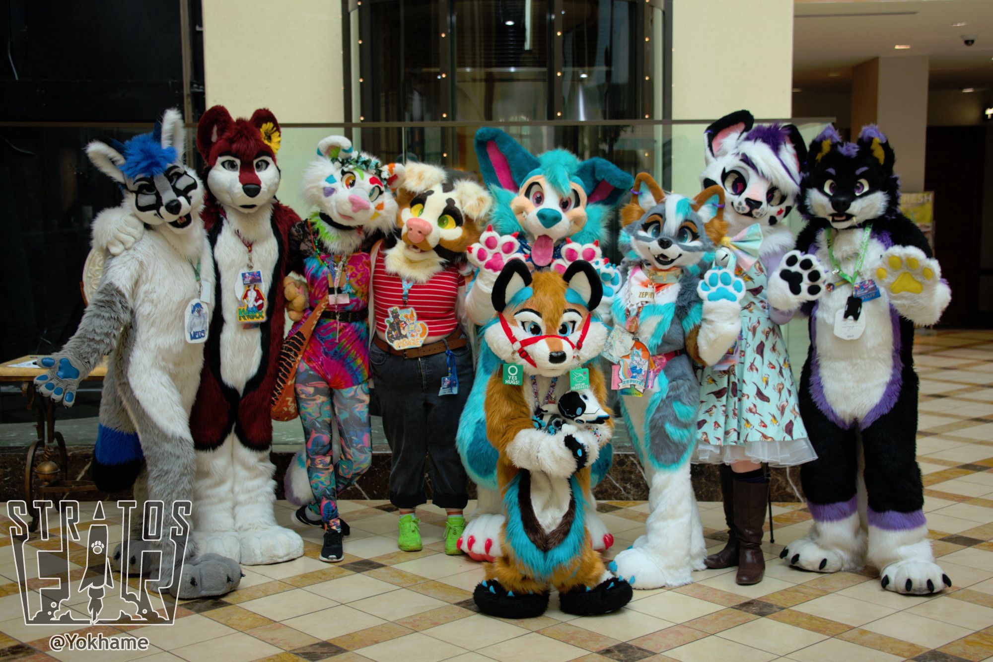 A group of fursuiters at the Stratosfur convention in Houston, TX, June 2024.  The suiters are standing shoulder-to-shoulder in a well-lit hotel atrium - sunlight is coming down from the glass roof overhead, and the hotel's fancy glass-walled elevators are visible in the background.

From left to right, the suiters are as follows:
Meds - gray & white fox with black face markings & blue accents
Knoxx - maroon red husky with a sunflower in his left ear
Reshound - feline partial suiter with white fur and rainbow accents
Pidge - canine partial suiter
Lagoon - dog/dragon suiter with turqoise-blue fur and enormous ears
Zephyri - gray & tawny wolf with light-blue highlights
Autumn - feline partial suiter, black & white fur with purple highlights

Standing in front of them all is a young child fursuiter wearing one of the knockoff "Bivalo" fursuits (tawny wolf with turquoise highlights), based off of RivaloWolf's suit.  They are holding a protogen plushie in their paws