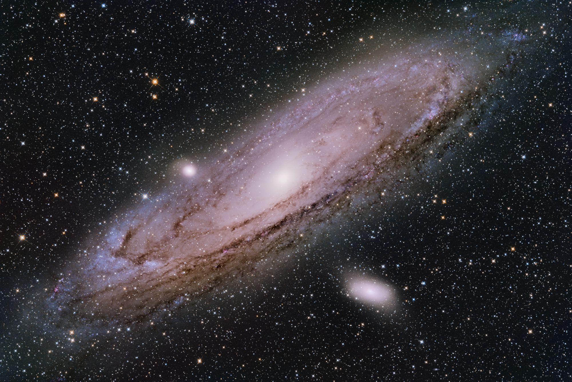 M31, the Andromeda galaxy, fills the frame going from bottom left to top right. The further out of the galactic disc, the more there are clusters of blues. There are warm red-brown dust lanes on the outer areas of the disc towards the lower portion of the frame. M31 is accompanied by two smaller galaxies: one is to the left of the core, touching the disc, and the other is down and to the right, slightly apart from the disc.