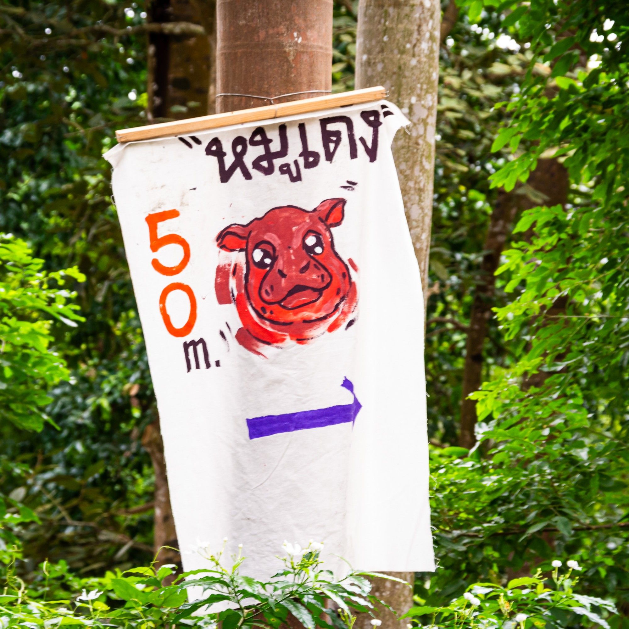 Hand-painted sign hung on a tree. The sign has a caricature of Moo Deng, her name, and an arrow pointing the way to her enclosure.