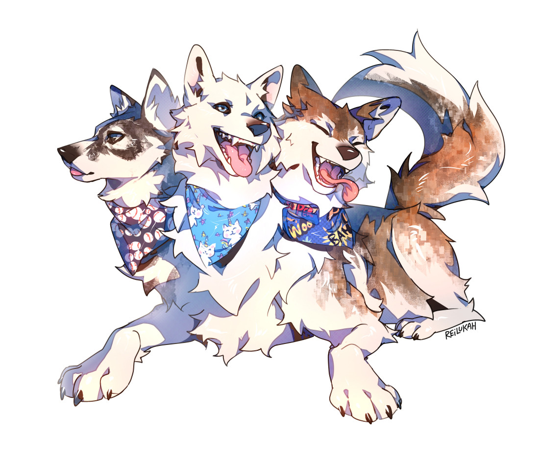 A pet commission of sorts, featuring 3 huskies as a single cerberus and the 3 forms of blep. from left to right we have a small blep, black and white furred husky looking off into the distance. Middle is a white husky smiling and alert blep looking somewhat towards viewer. Finally we have a brown/white husky, super blep where the tongue is waving in the air and eyes shut tight from excitement.