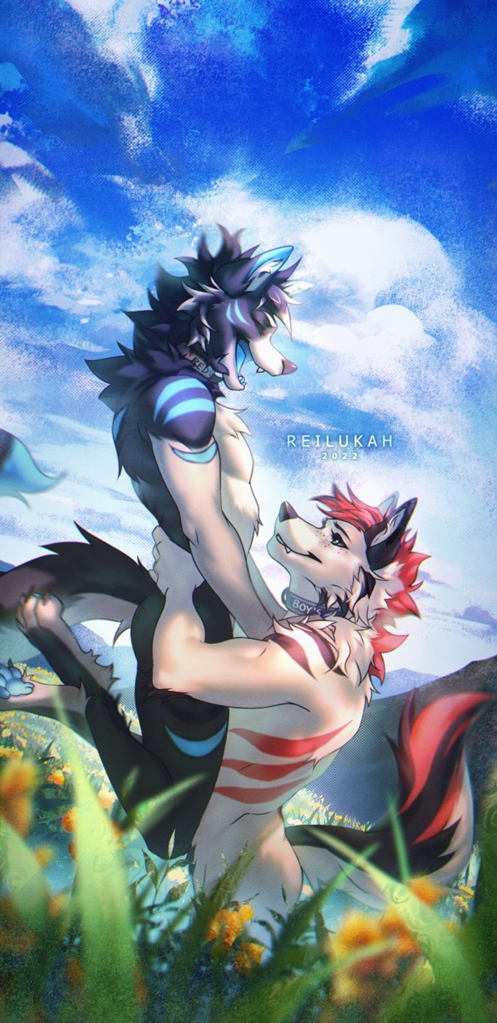 A lockscreen commission featuring 2 anthropomorphic wolves, Rainer (red/white) & Dusty (blue/black). It depicts Rainer lifting Dusty in the air as he stands in a grassy field under a bright blue sky. Dusty's expression is happy, his legs are bent, and his toes are curled in excitement of this new height. Rainer is looking up, almost in wonder, enjoying the expression of Dusty. This was a Valentine's themed commission from 2022 for FloofyRainer x TheDustyWuffy!!