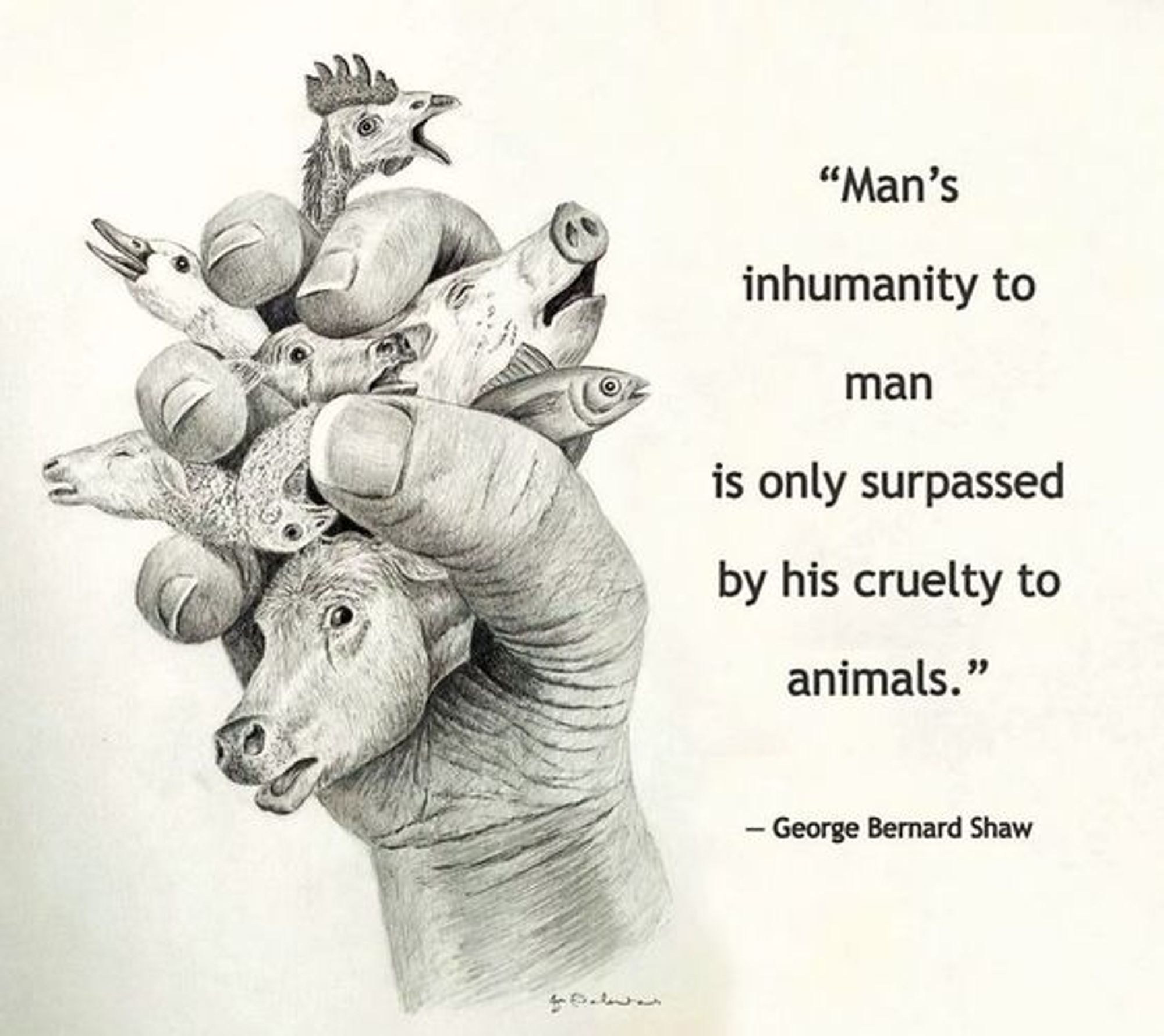 "Man's inhumanity to man is only surpassed by his cruelty to animals."  George Bernard Shaw 

The black and white drawing shows a human handful of animals such as chicken, pig, fish, cow, bird, sheep, goat and goose. The quote is to the right of the sketch.