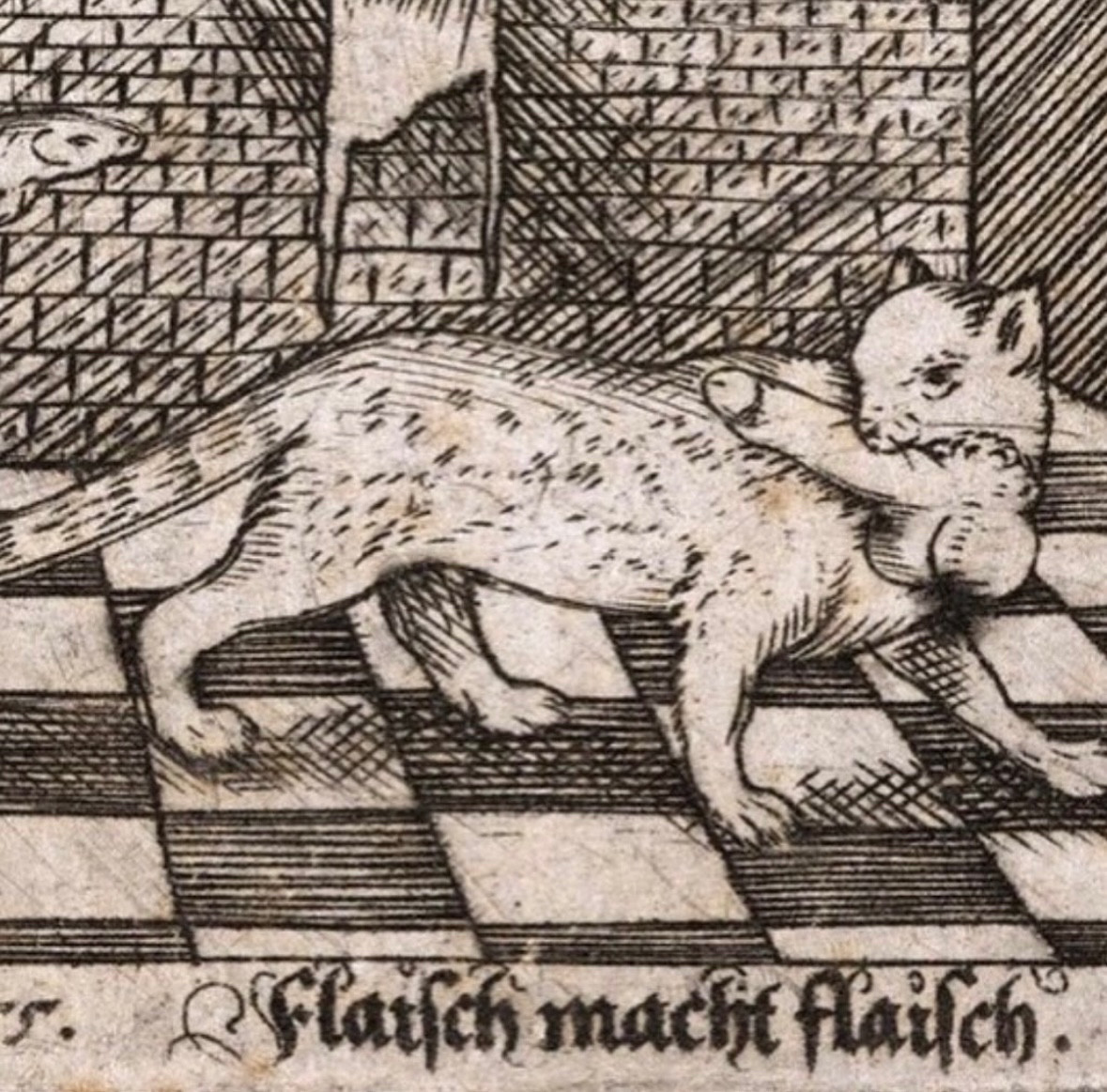 Renaissance image circa 1555 of a cat with a penis & testes in its mouth. The German text underneath is “flaisch macht flaisch”. It’s a portion of a large image where a nun is trying to convince the cat to take the fish she’s offering in exchange for the cock and balls. The text is a play on words for the time that references a German proverb about meat (fleisch) giving good energy but fish (fisch) giving nothing. (Fleisch macht Fleisch, fisch macht nisch’.) The implication is that the nun wants some dick 