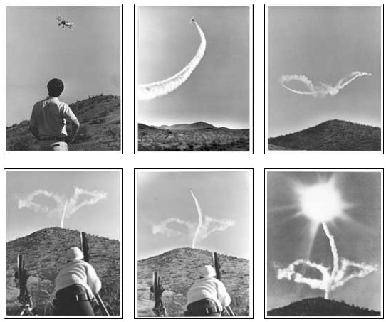 airplane skywriting leaves and a stem under the sun

Photos by Tony Esparza