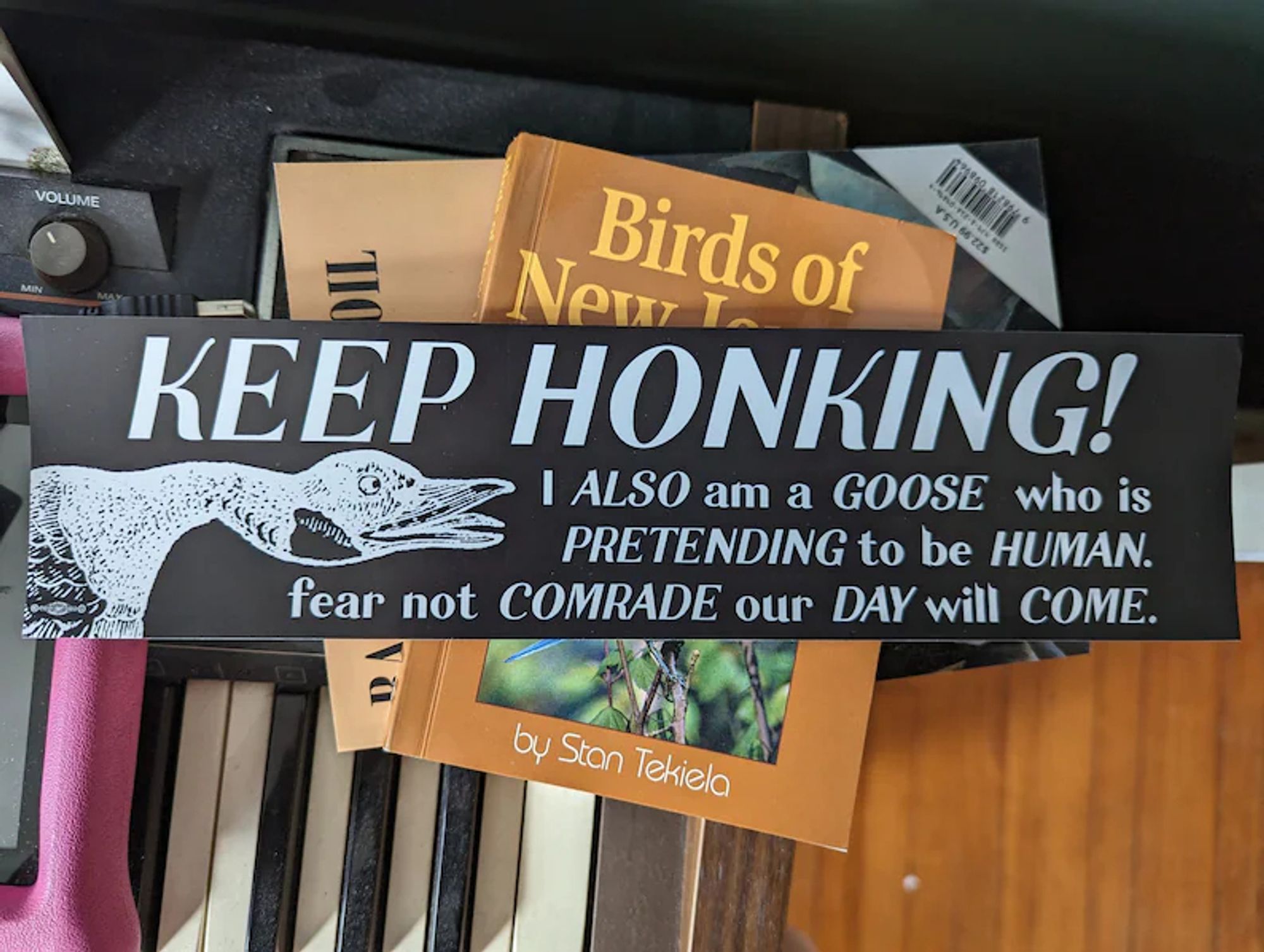 Photograph of a black bumper sticker with a woodblock-print image of a goose's head on it. Large text reads

KEEP HONKING!
I ALSO am a GOOSE who is
PRETENDING to be HUMAN.
fear not COMRADE our DAY will COME.