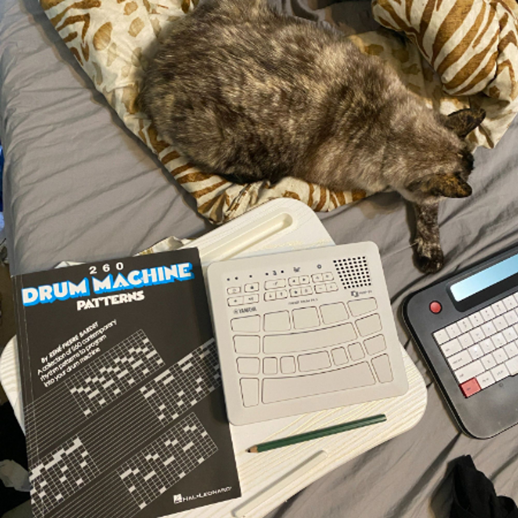 a book (260 Drum Machine Patterns), a pencil (for scale), an electronic drum pad finger controller, a cropped Freewrite Alpha, and a LARGE cat, all seen from above