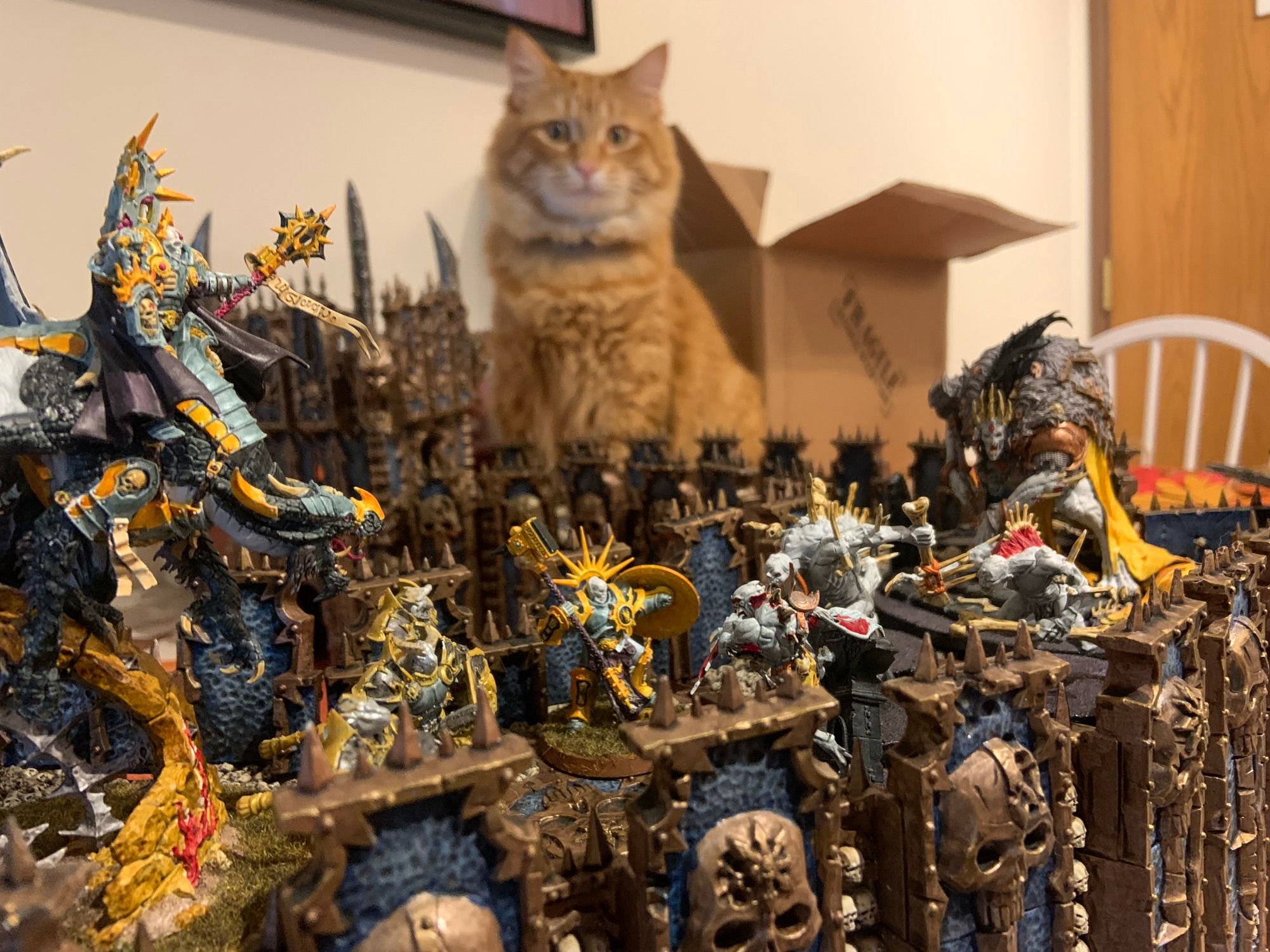 A miniature battle diorama where the blue and gold armored Stormcast Eternals, led by a dragon rider, fight the pale ghouls of the flesh-eater courts, led by a monstrous king. Overlooking is my cat who refused to get out of frame.