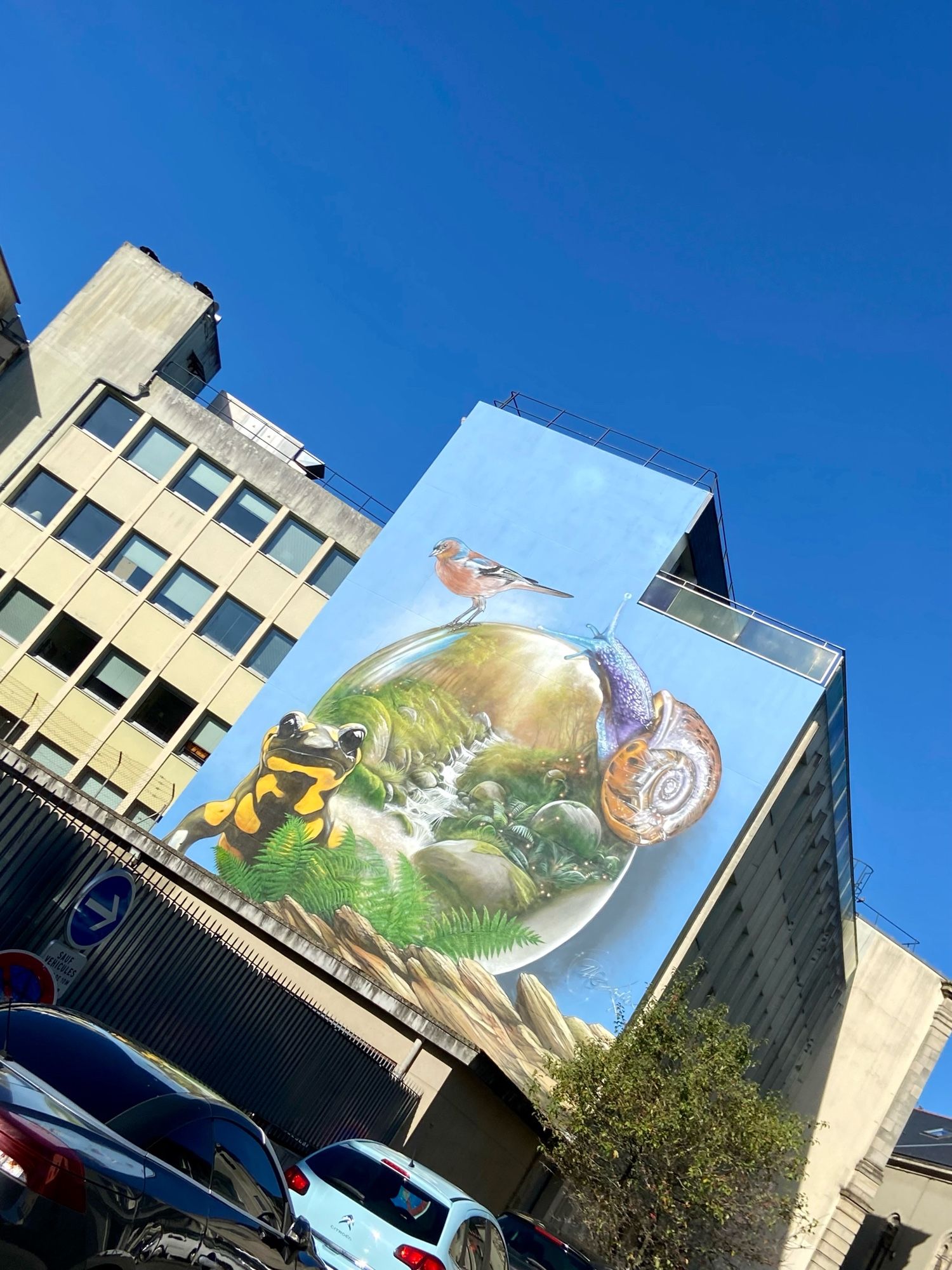 Fond bleu clair. Au milieu un rond où on voit un cours d'eau entouré de petites pierres et de végétation. En haut à gauche : un oiseau. À droite : un escargot. En bas à gauche : une salamandre noire et jaune.