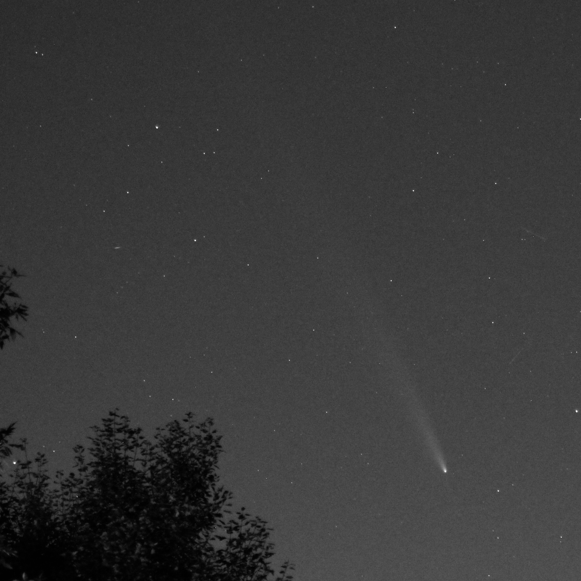 Comet Tsuchinshan-ATLAS in black and white.  