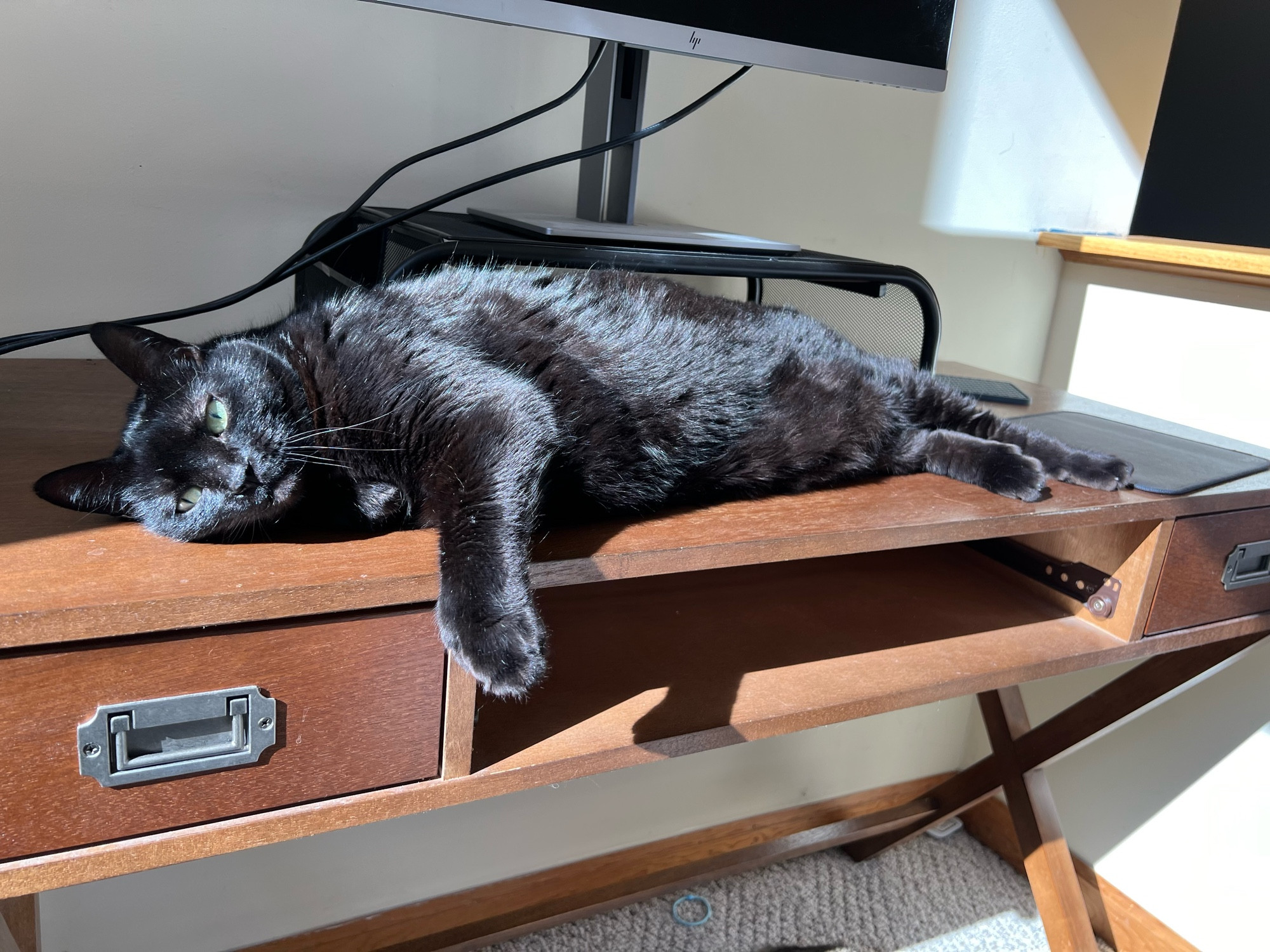 A black cat lounging on a desk in a sunbeam. She has one arm hanging down over the front of the desk and she is laying her head down on the desk. 