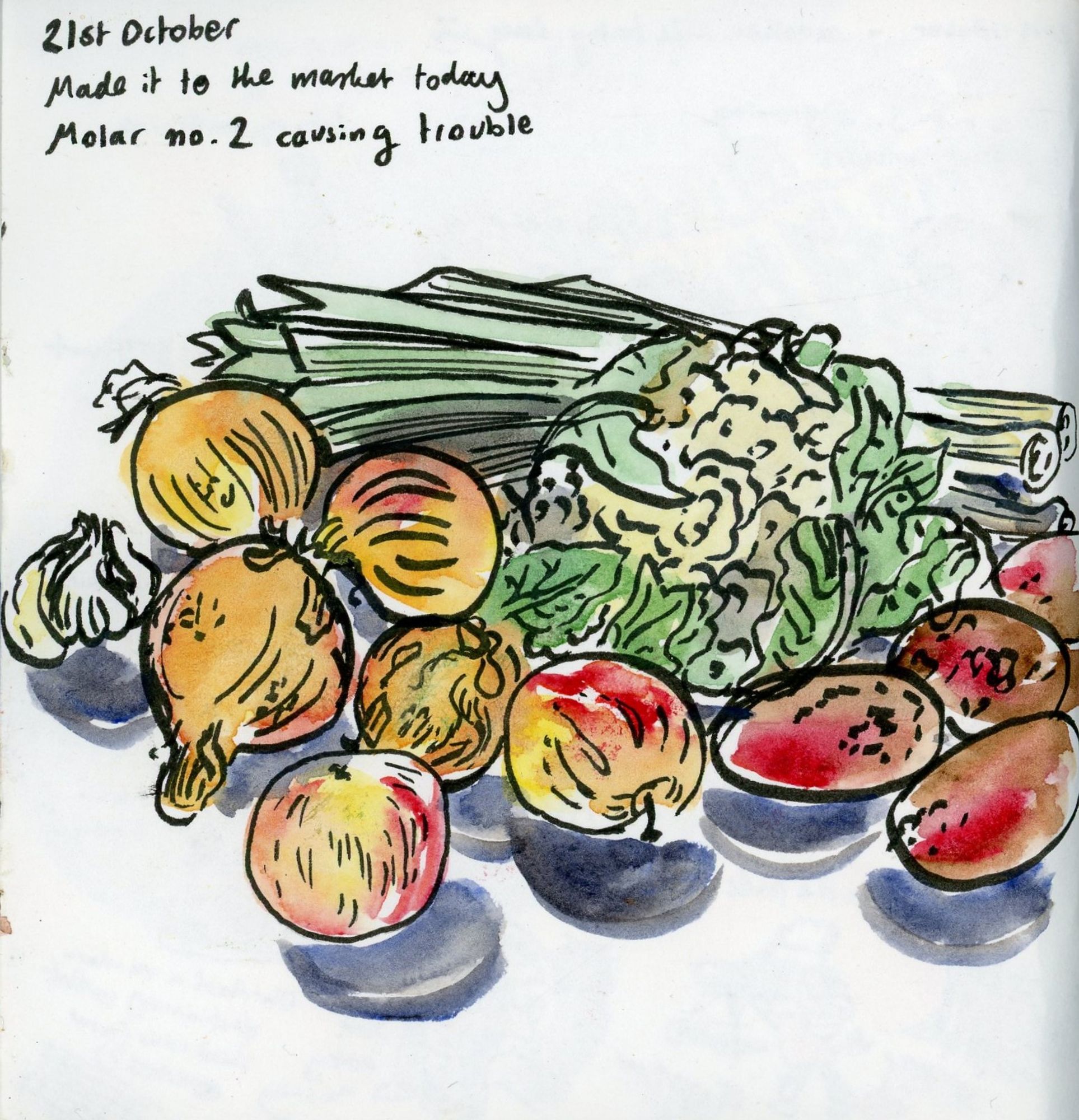 Sketch of a pile of fruit/vegetables - onions, apples, potatoes, cauliflower, leeks