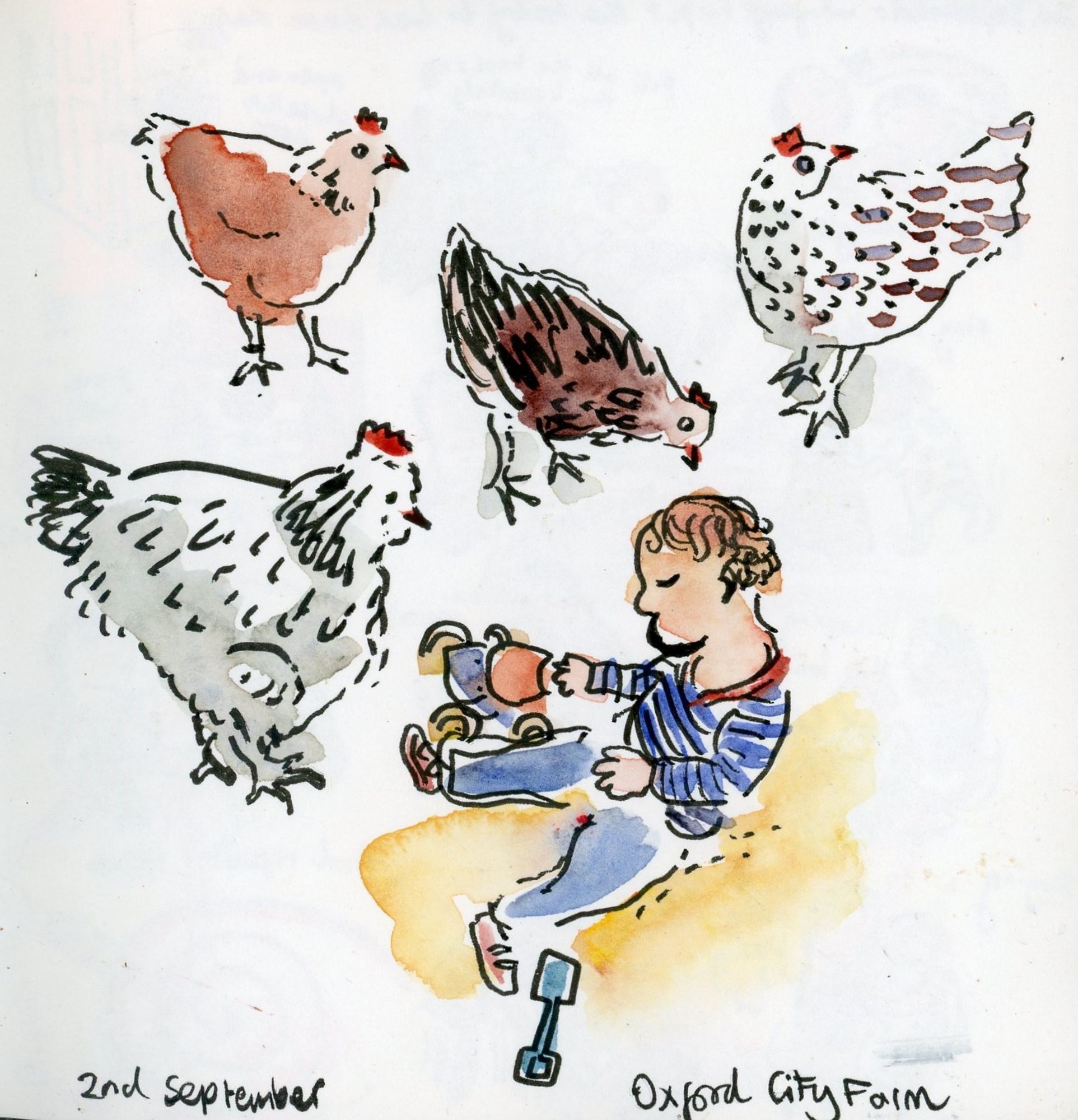 A sketch of 4 different chickens and a toddler playing in a sandpit at Oxford City Farm