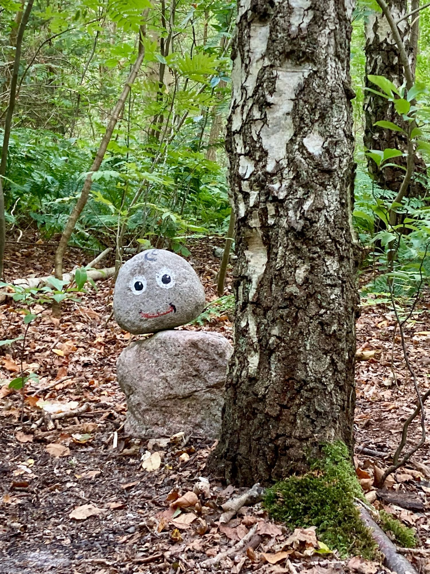 Aus 2 Steinen zusammengebautes Männchen mit aufgemaltem fröhlichem Gesicht lugt hinter einem Baum hervor.