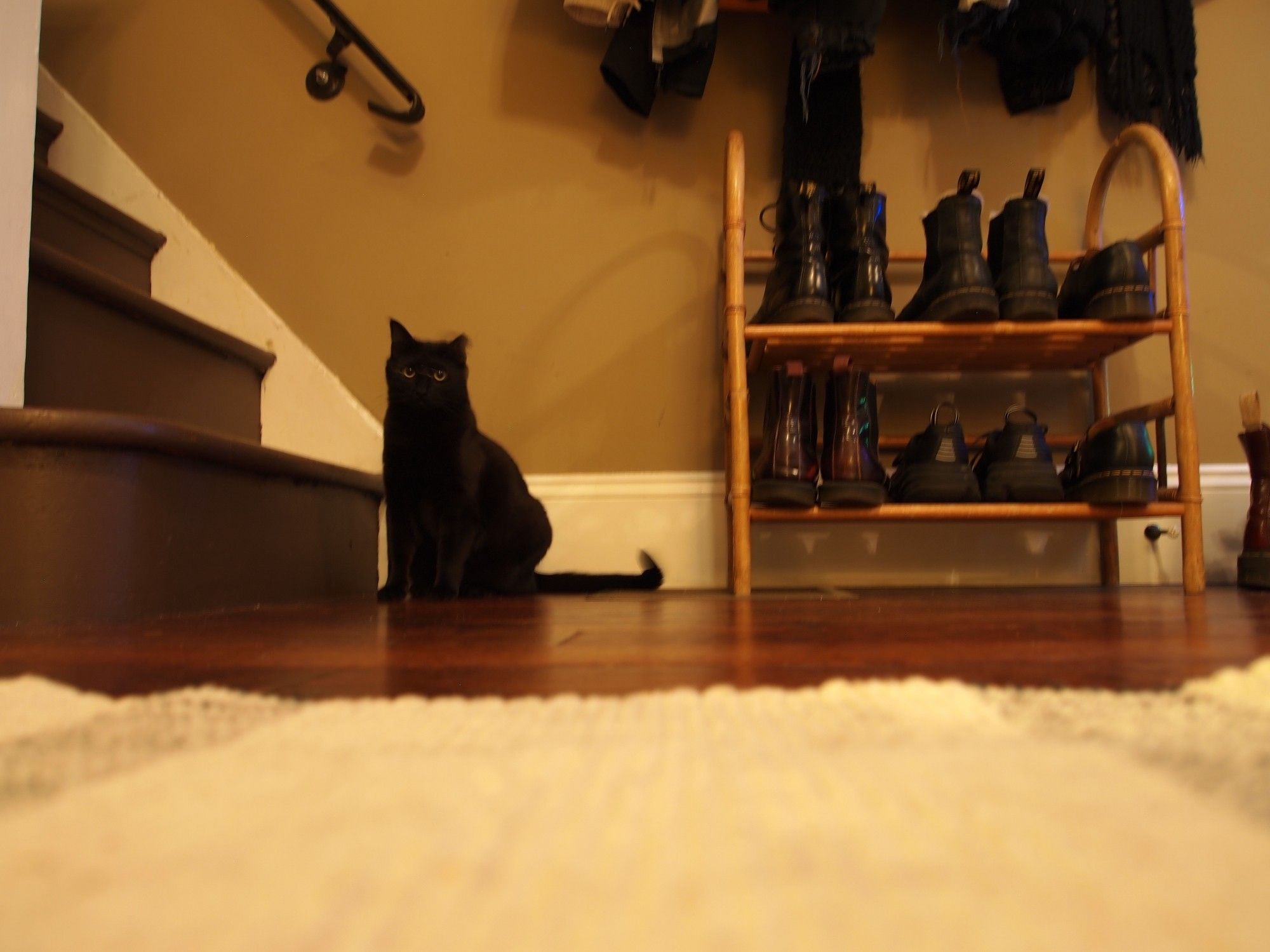 Black cat blob at the bottom of the stairs