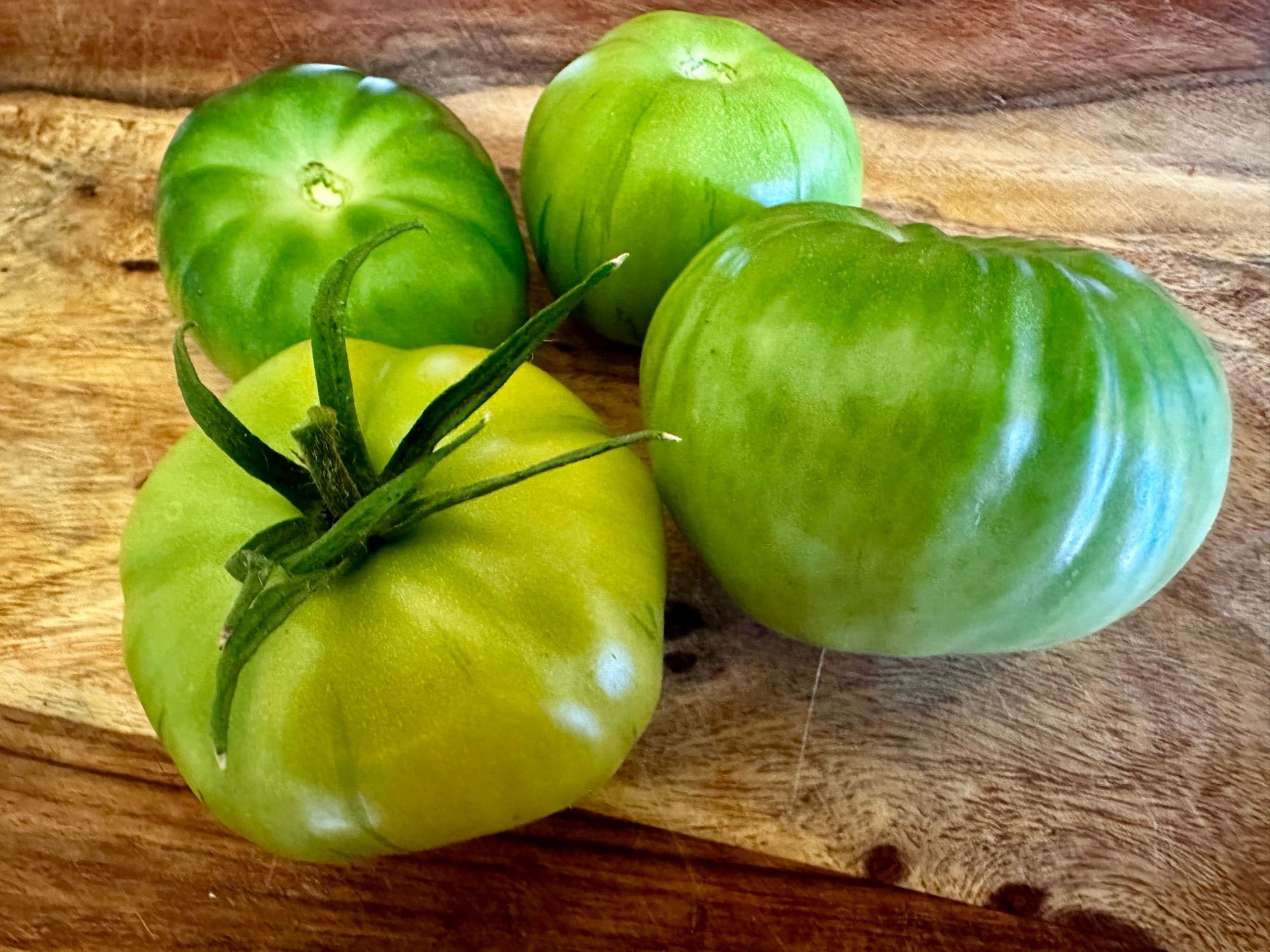 Four big green tomatoes