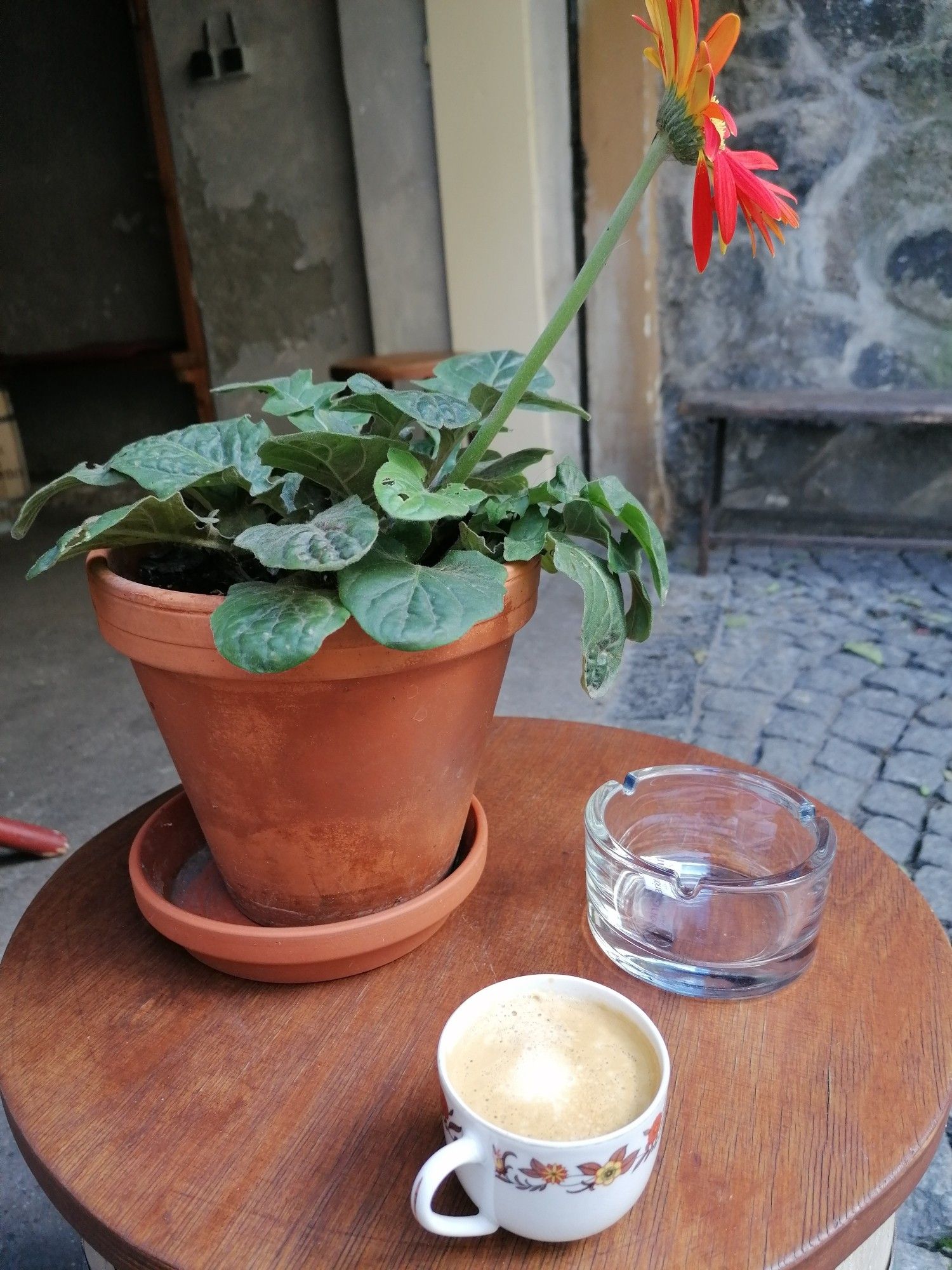 Cafétisch. Darauf eine Pflanze in einem rohen Blumentopf, ein gläserner Aschenbecher und eine kleine altmodische Kaffeetasse mit Blumenmuster