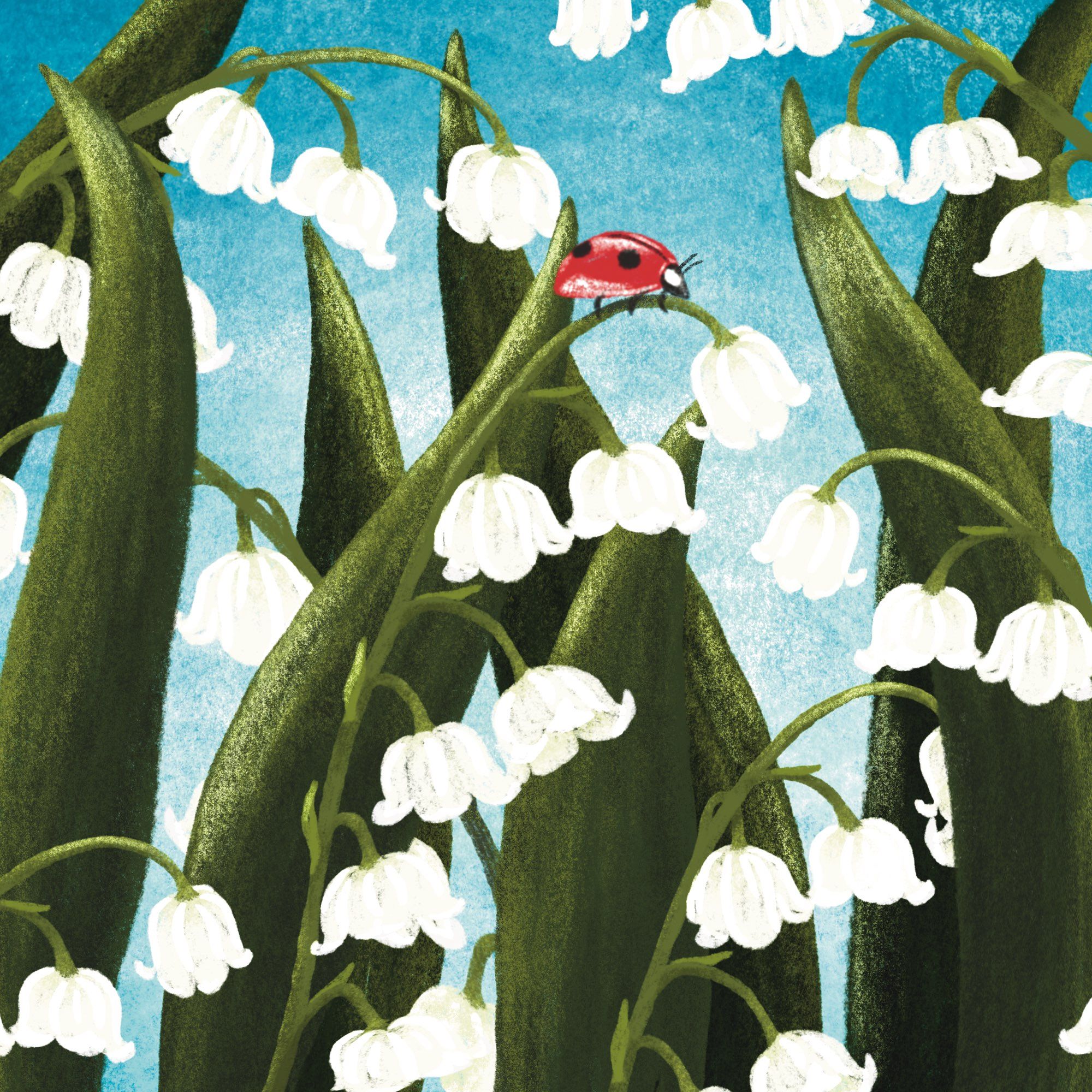 An illustration of a ladybug among snowdrop plants.