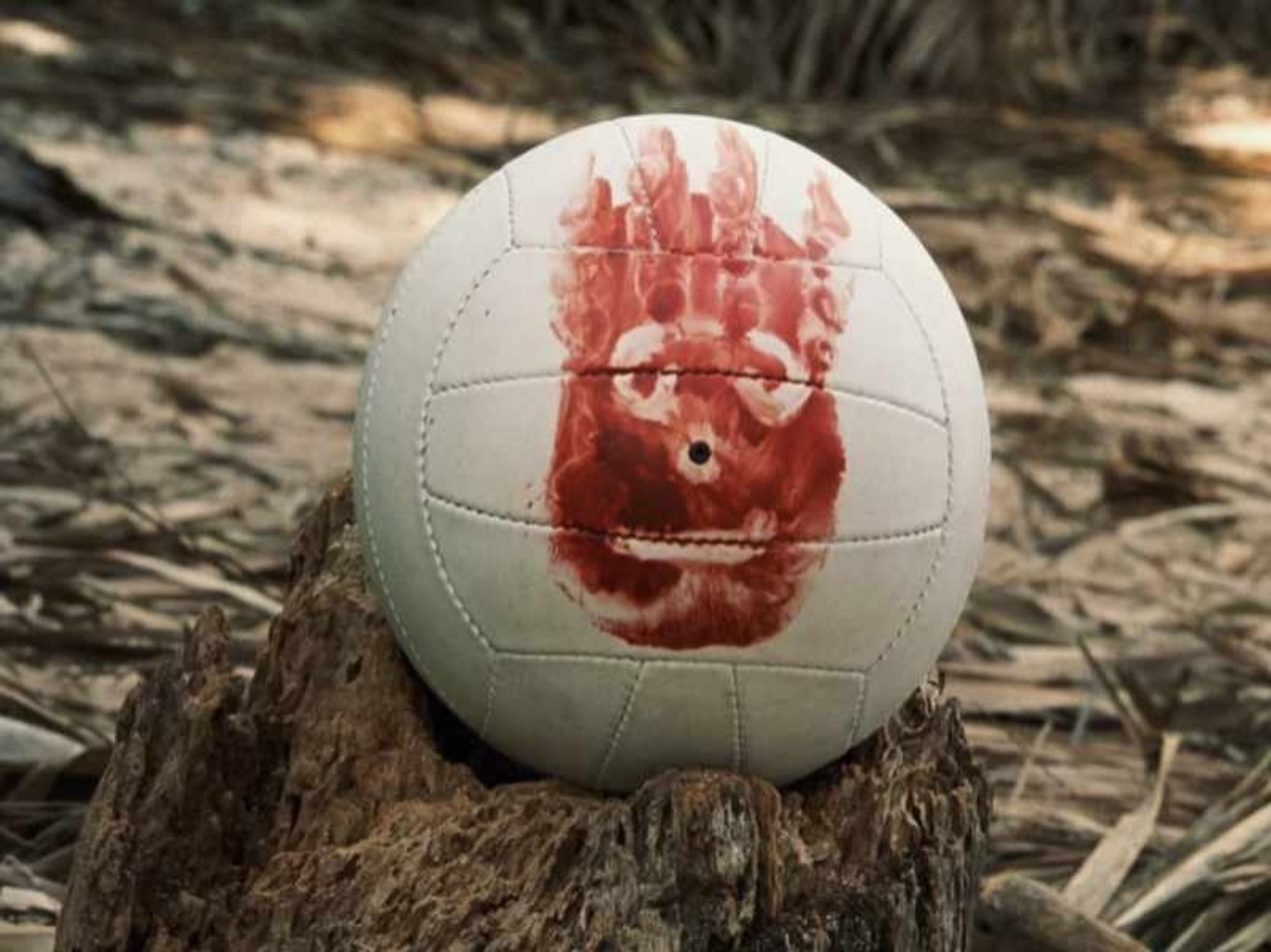 Wilson from Castaway