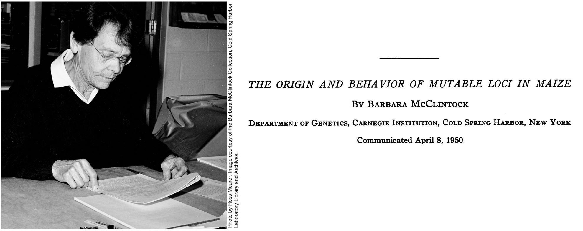 A portrait of Barbara McClintock and the front cover of her 1950 paper "The origin and behavior of mutable loci in maize".