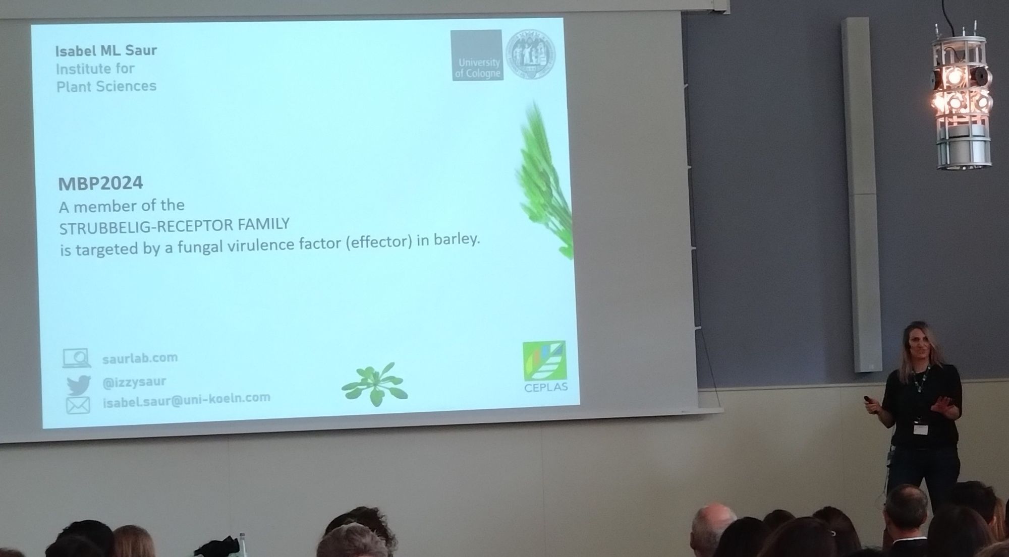 Isabel Saur on stage at #MBP2024 presenting her talk titled "A member of the STRUBBELIG-RECEPTOR FAMILY is targeted by a fungal virulence factor (effector) in barley"