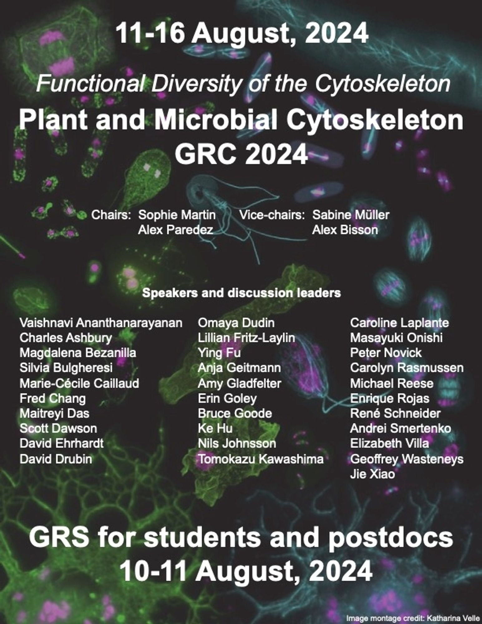 Conference poster for Plant and Microbial Cytoskeleton Gordon Research Conference: Functional Diversity of the Cytoskeleton
GRS for students and postdocs 10-11 August 2024