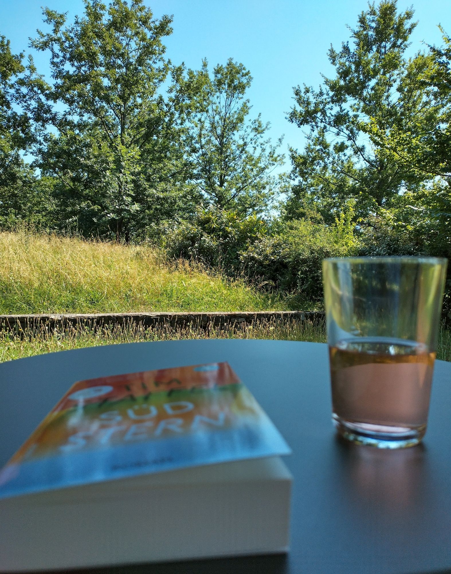 Buch und Trinkglas auf Tisch und Bäume und Rasen im Hintergrund