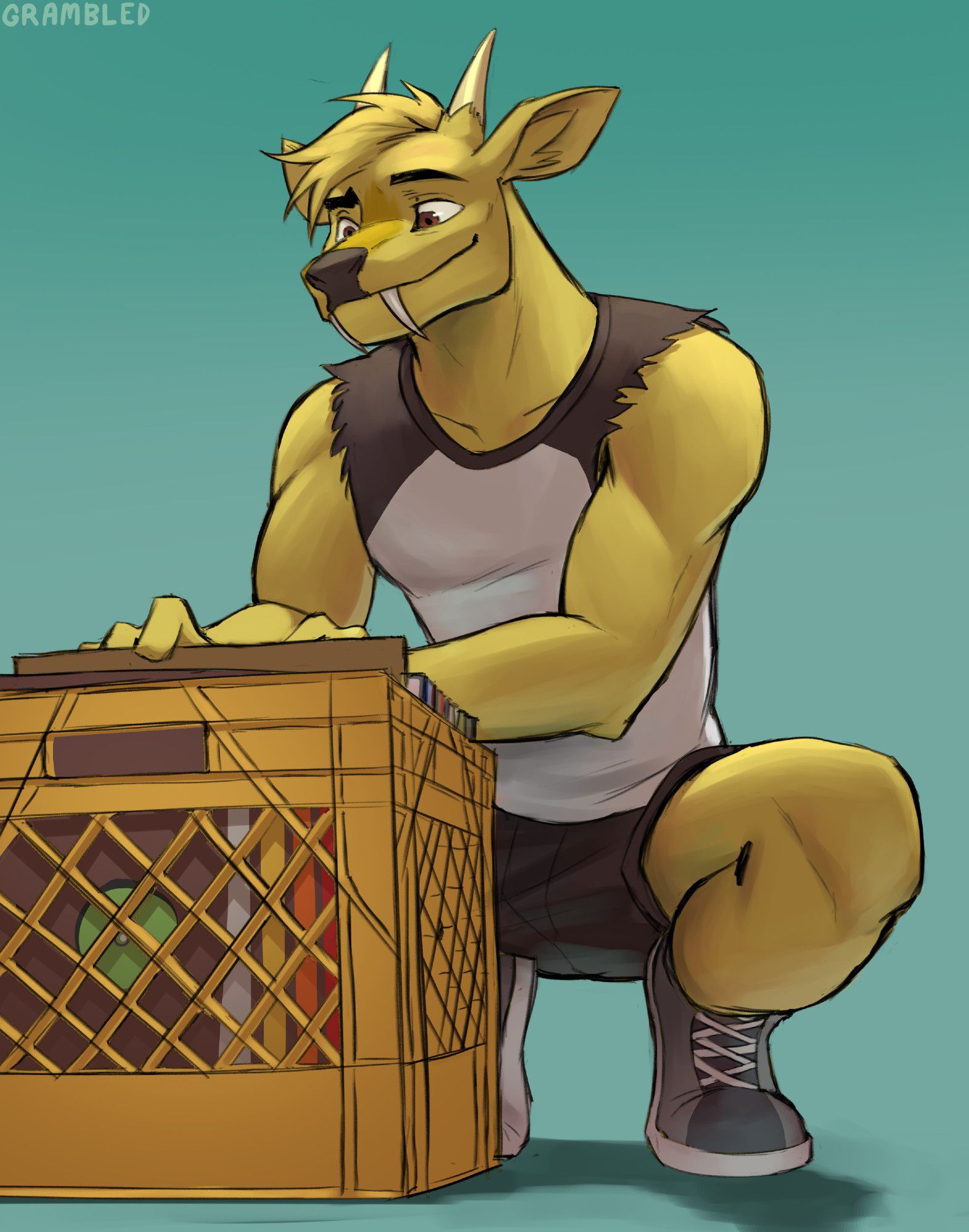 A muntjac with yellow fur, brown eyes, straight antlers and two prominent upper canine fangs. He is wearing a black and white t-shirt with the sleeves ripped off, black shorts and gray sneakers. He is crouching in front of a yellow milk crate of records as he is digging through the contents with his hands. He's showing an expression of interest with a slight smile.