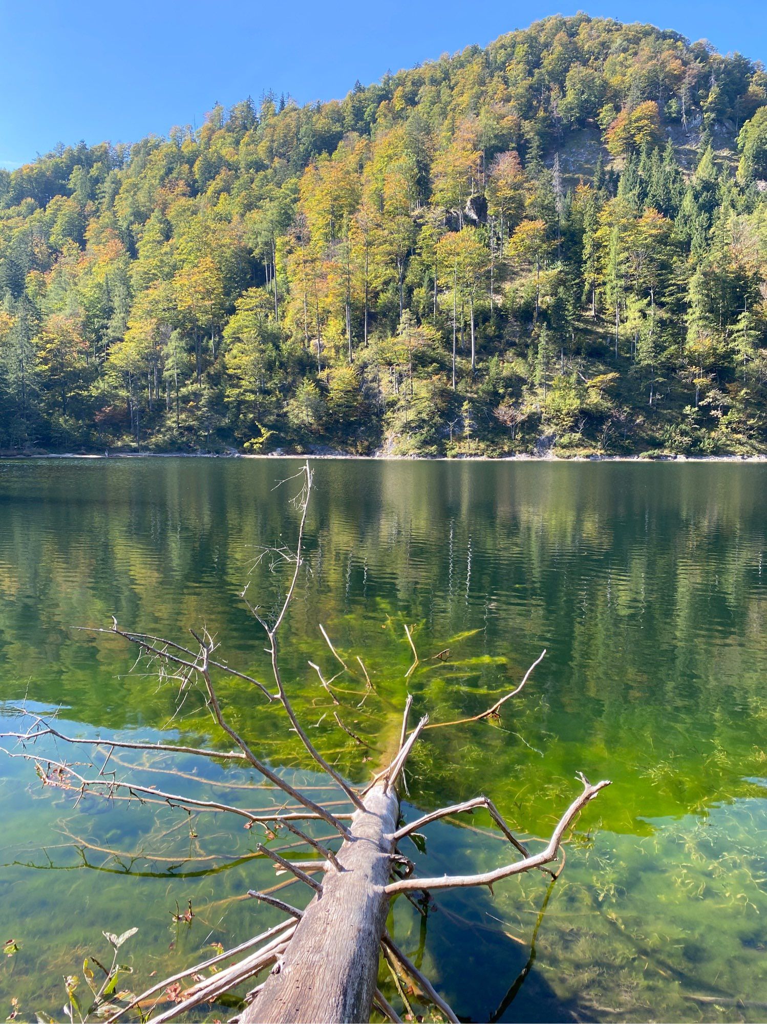 Eibensee, Österreich