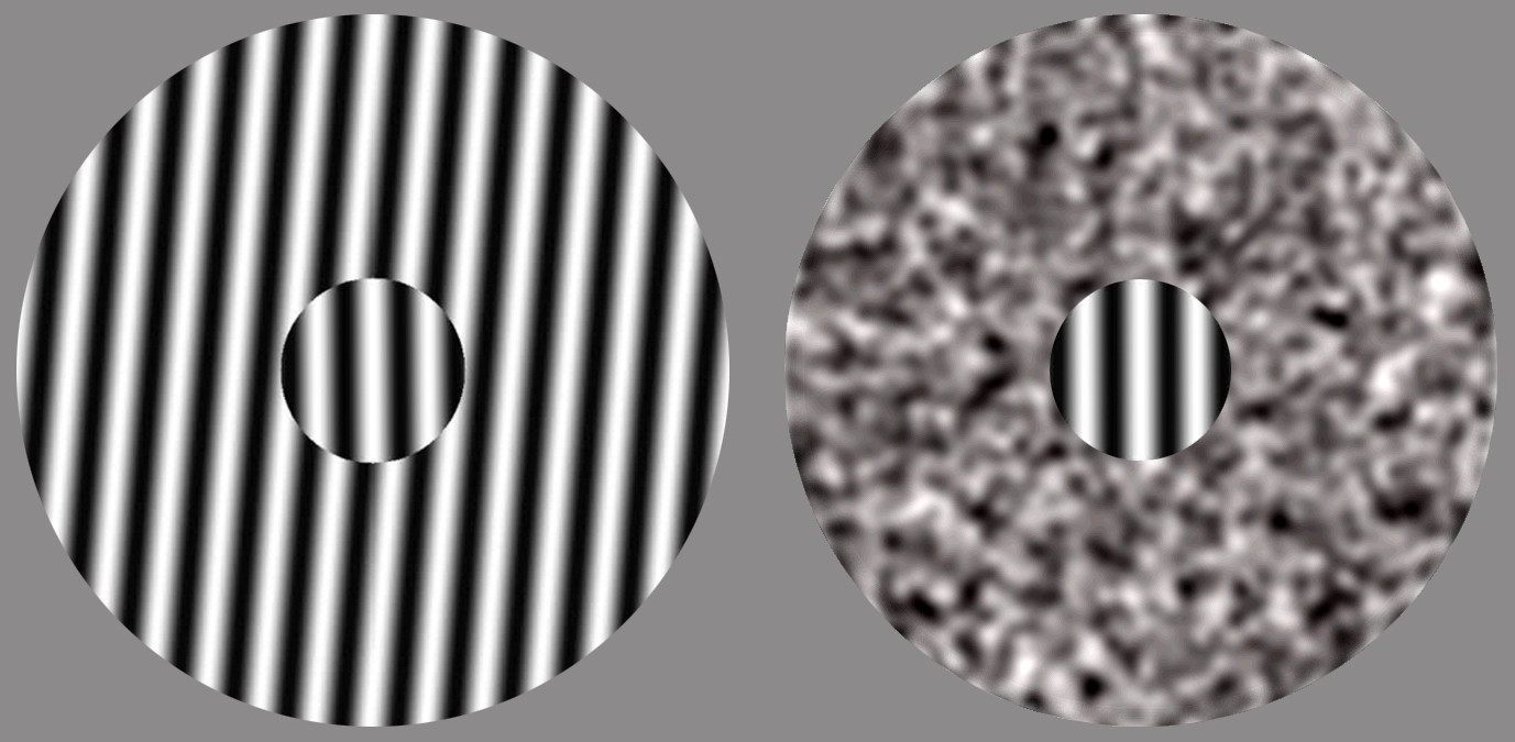 The center grating on the left appears tilted due to the presence of an oriented surround. The same center grating on the right appears vertical, as the surround is un-oriented noise.