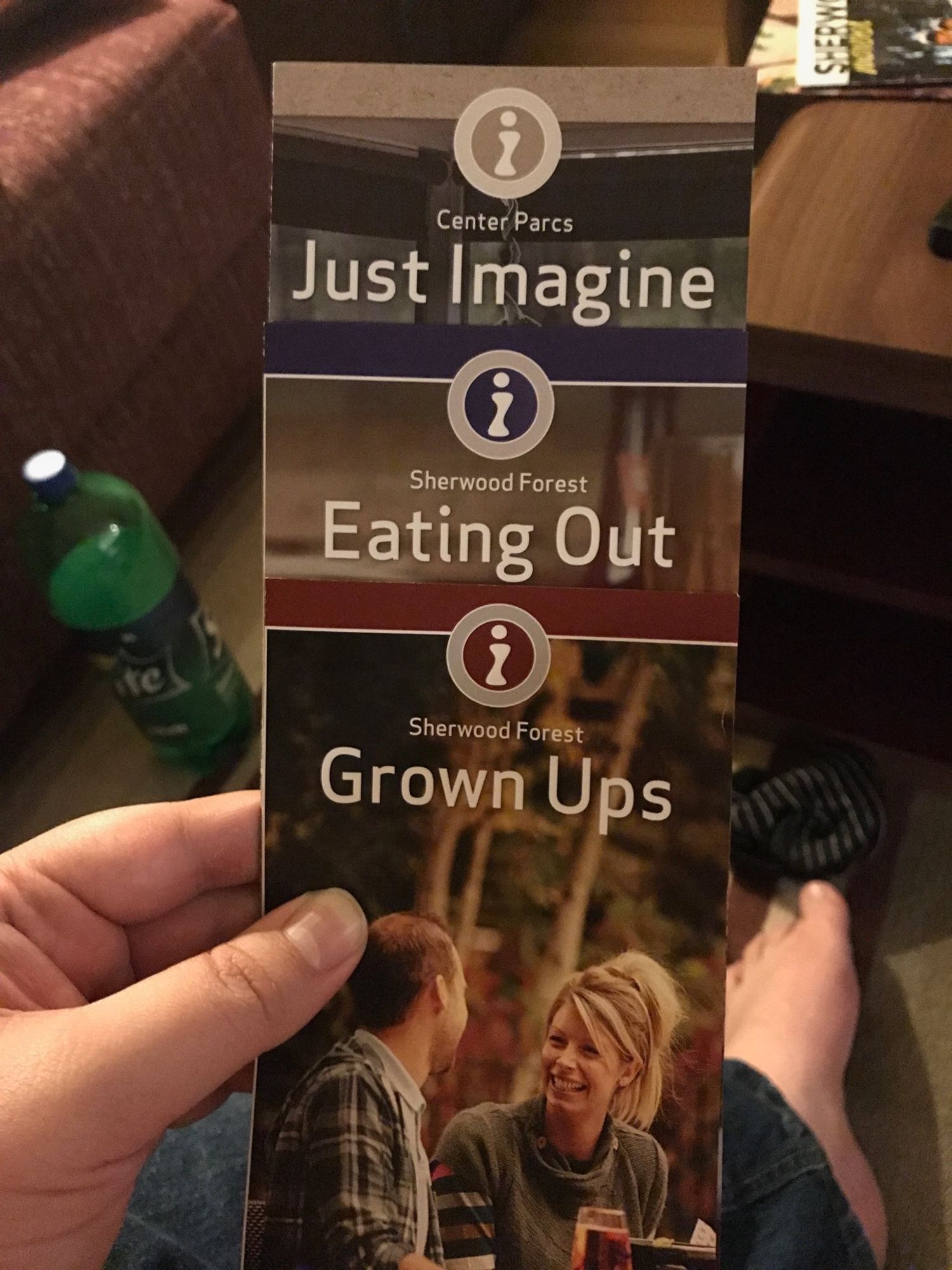 Three leaflets from center parcs arranged in such a way that the titles form the sentence “just imagine eating out grown ups”