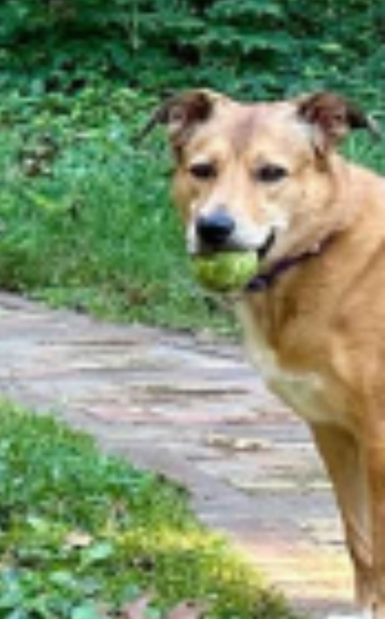 A heavily cropped picture of Tai, who is holding a ball and has a look of impatience