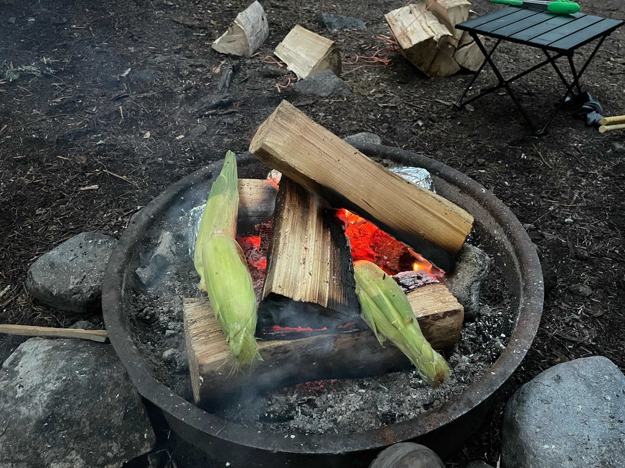 Corn roasting on a campfire