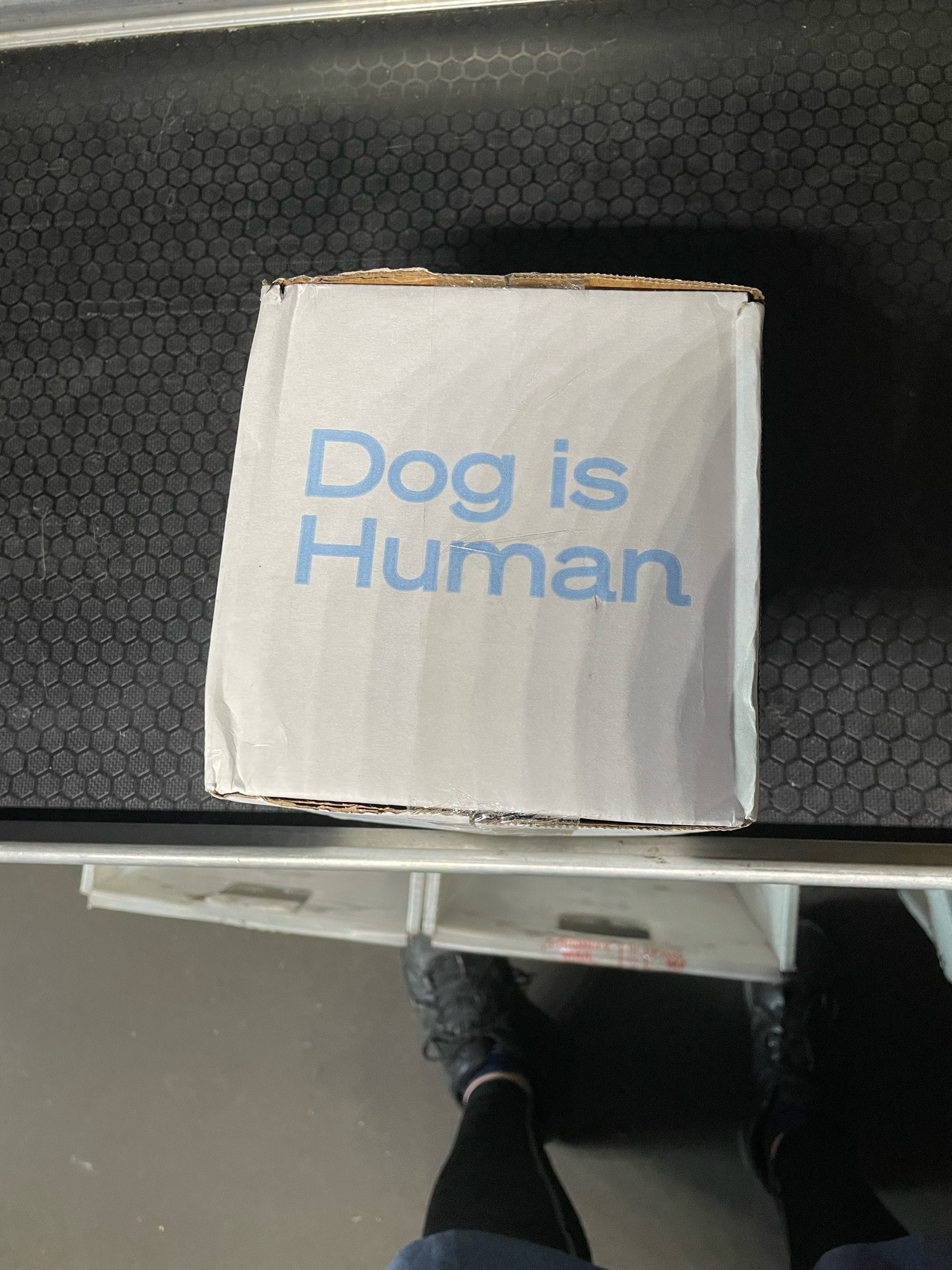 Box that reads “Dog is Human” on the side